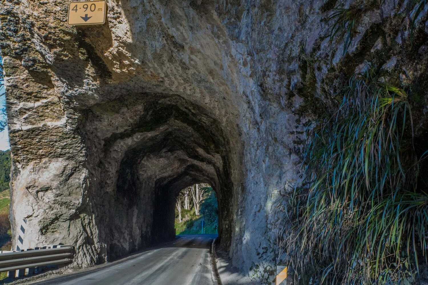 Awakino Tunnel,Waikato-5612.JPG