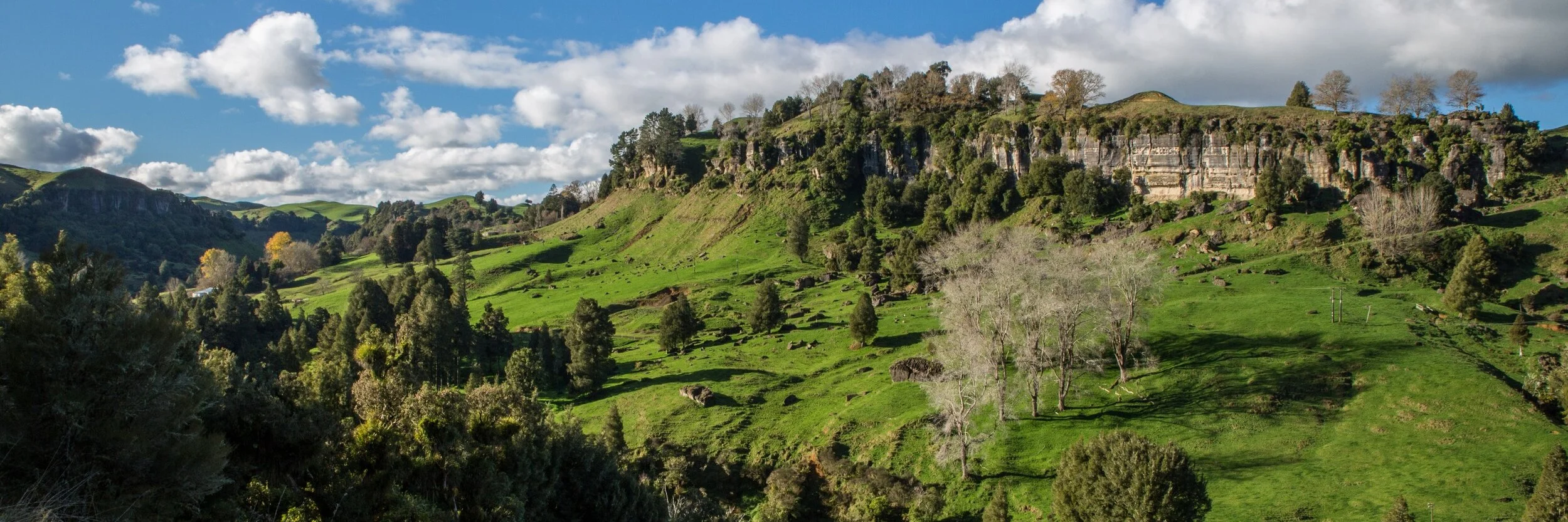 Mangaotaki,Waikato,-5582.JPG