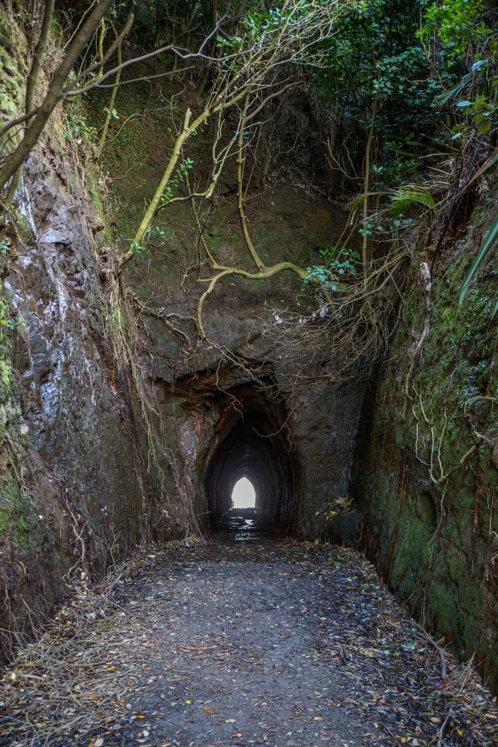 Tunnel Beach,Waikato,-5685.JPG