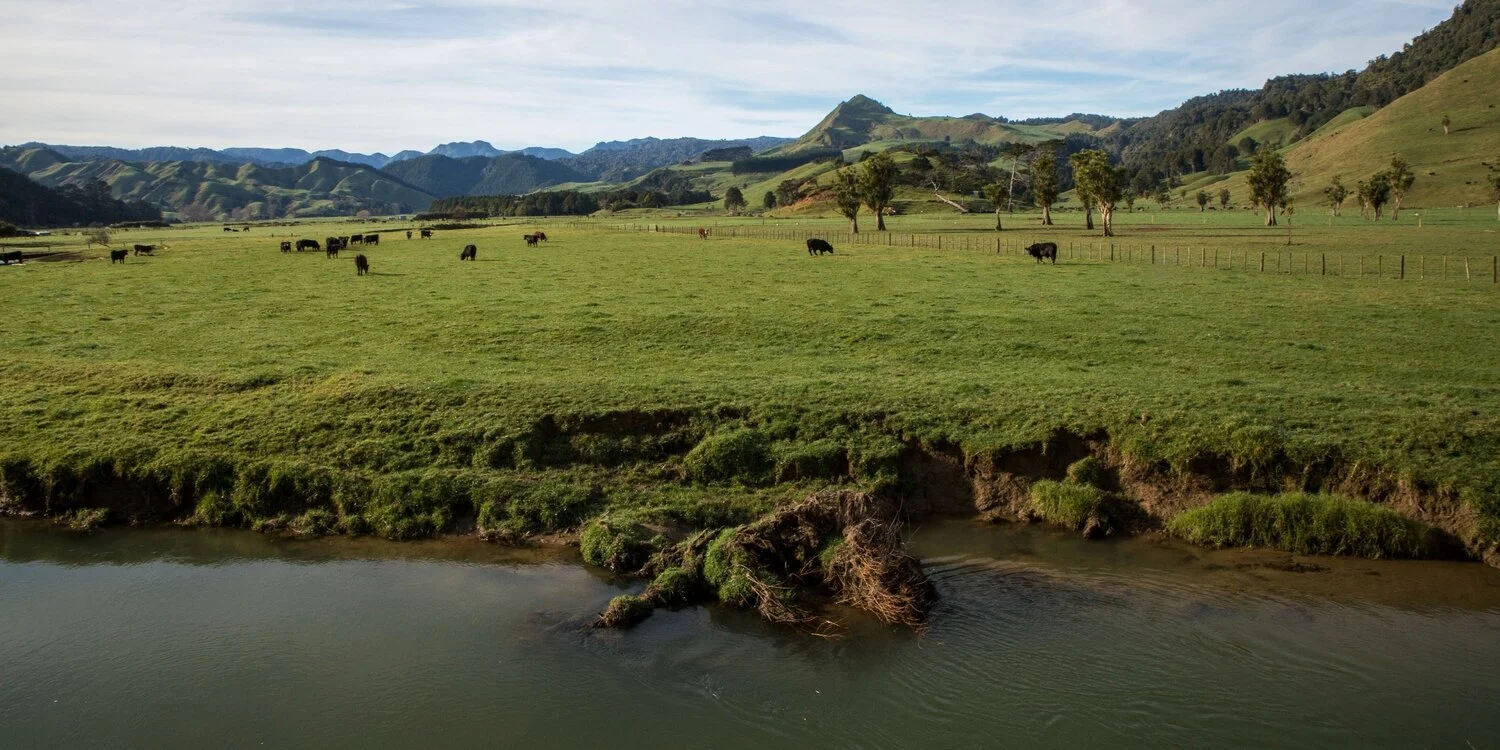 Waikawau Valley,-5680.JPG