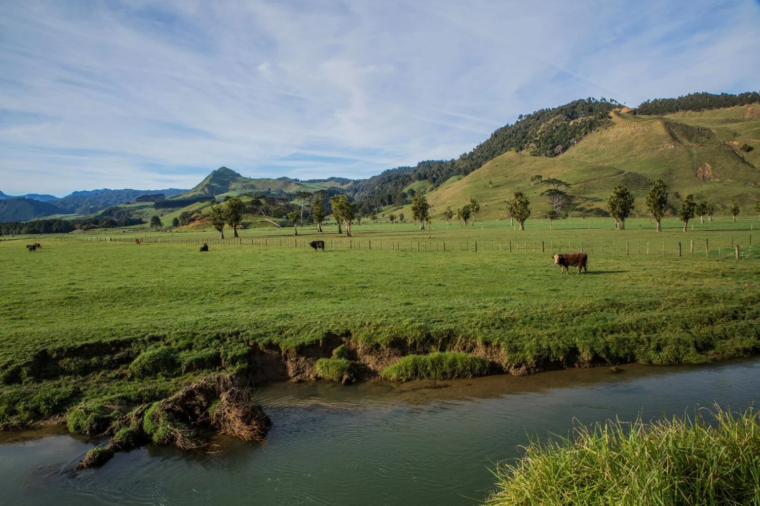 Waikawau Valley,-5681.JPG
