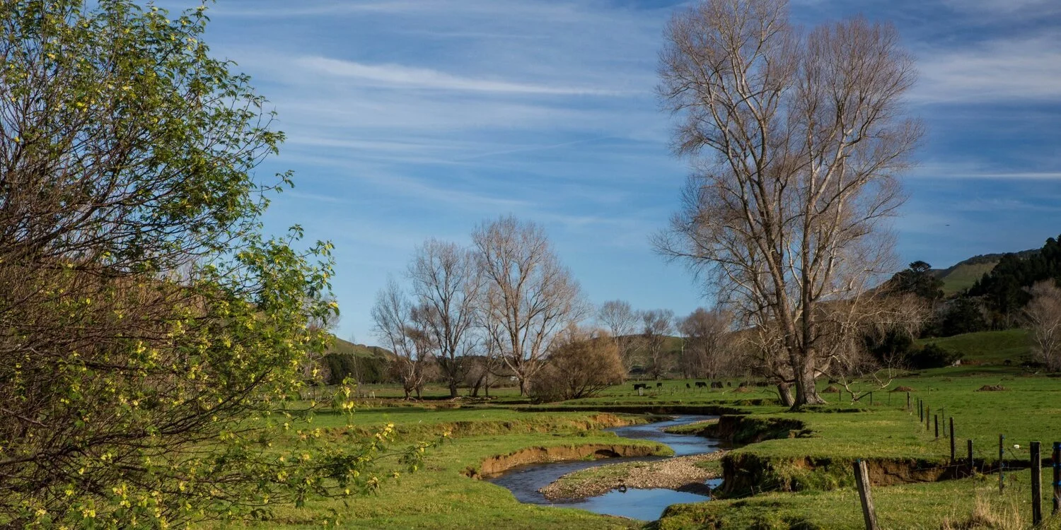 Waikawau Valley,Waikato,-5714.JPG