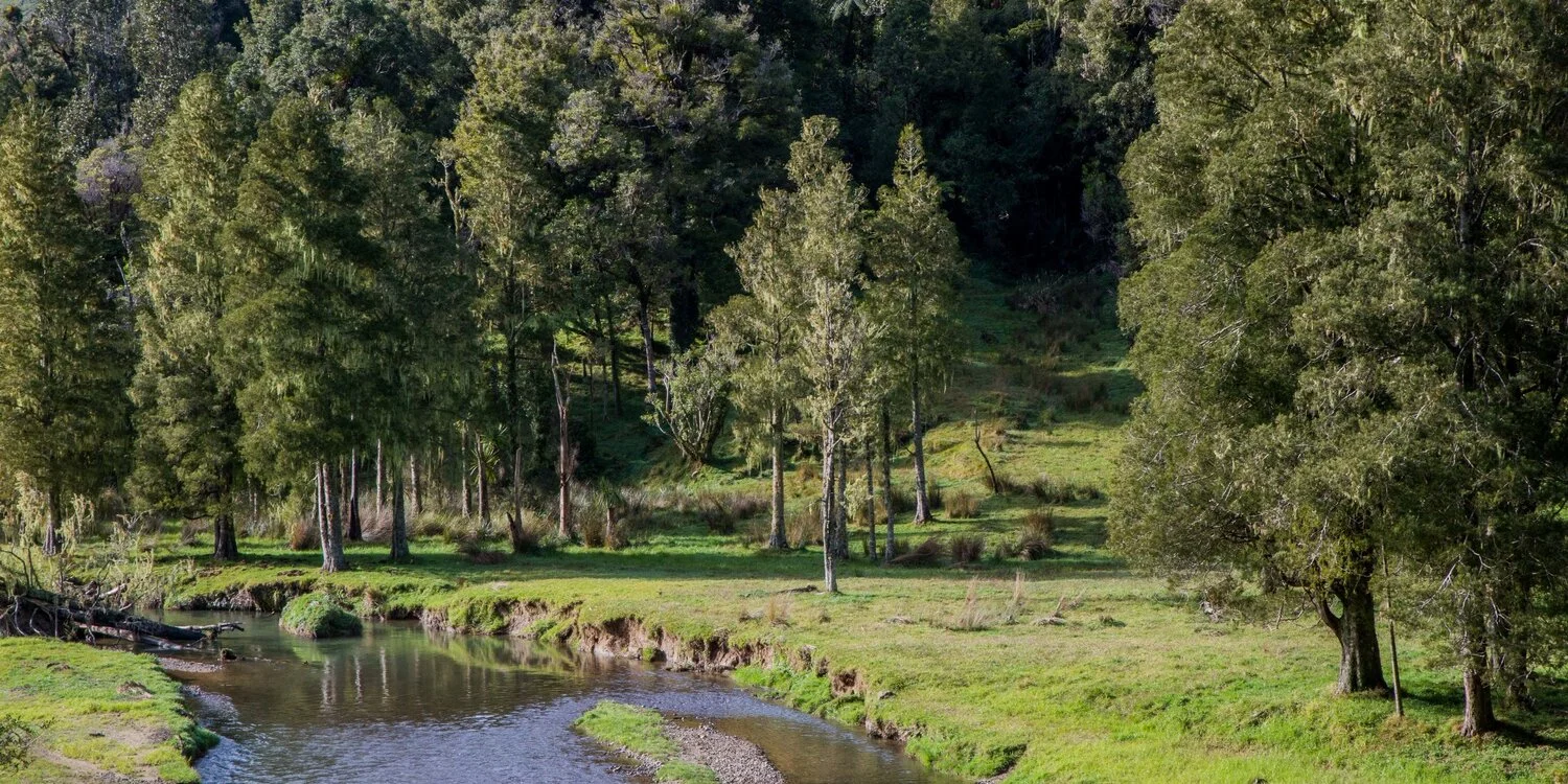 Waikawau Valley,Waikato,-5726.JPG