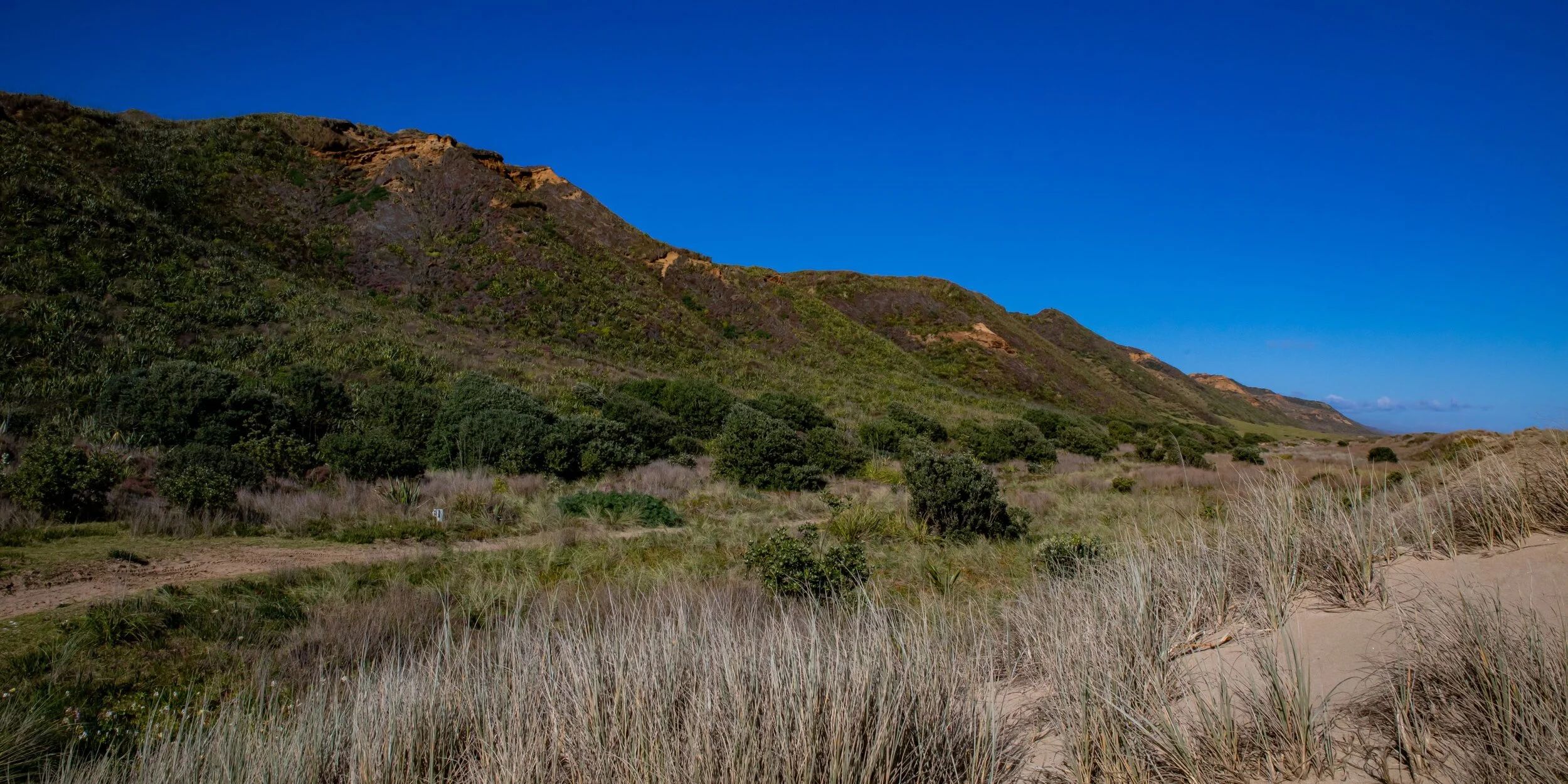 Glinks Gully,Kaipara Coast,-8410.jpg