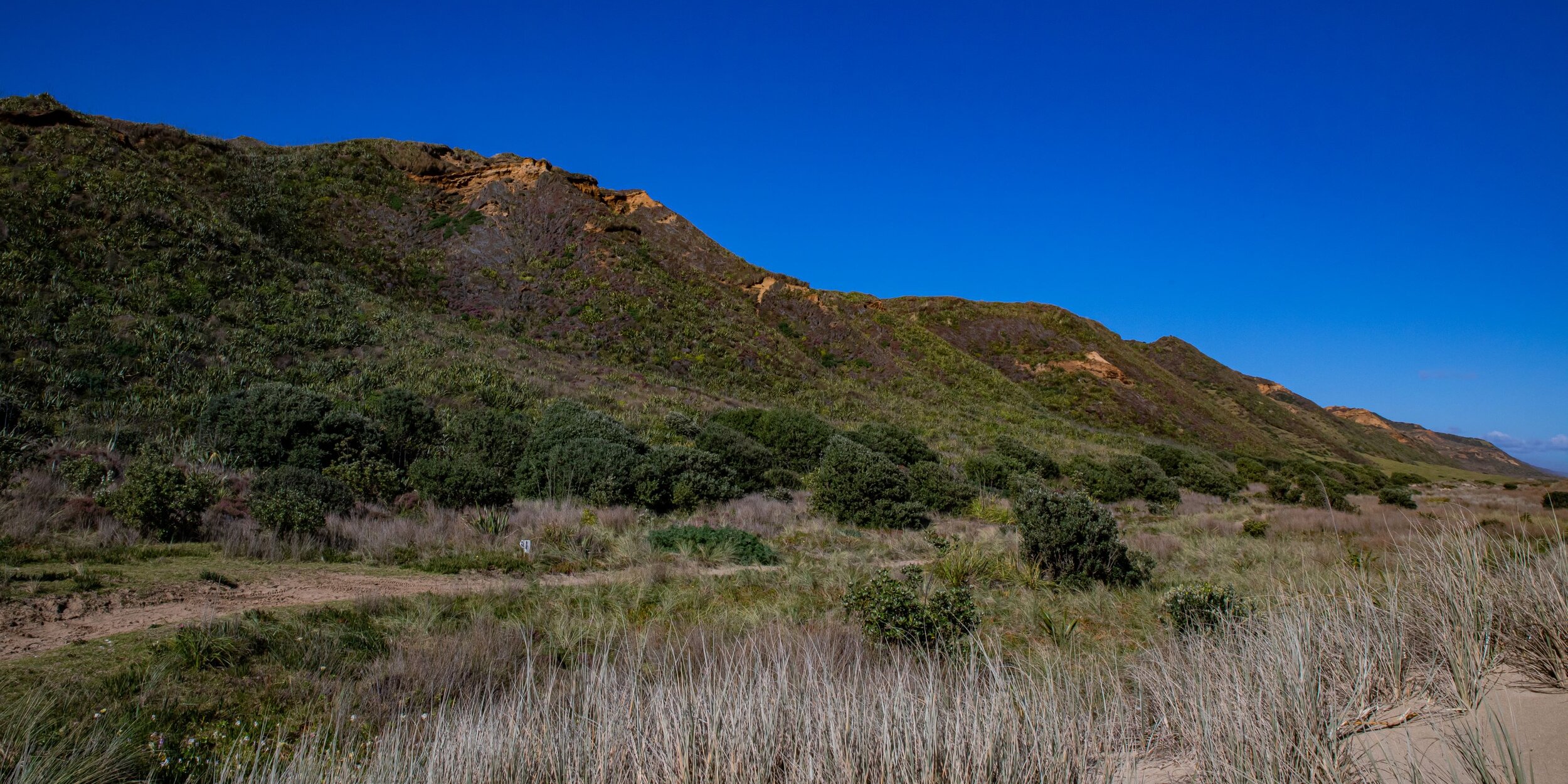 Glinks Gully,Kaipara Coast,-8409.jpg