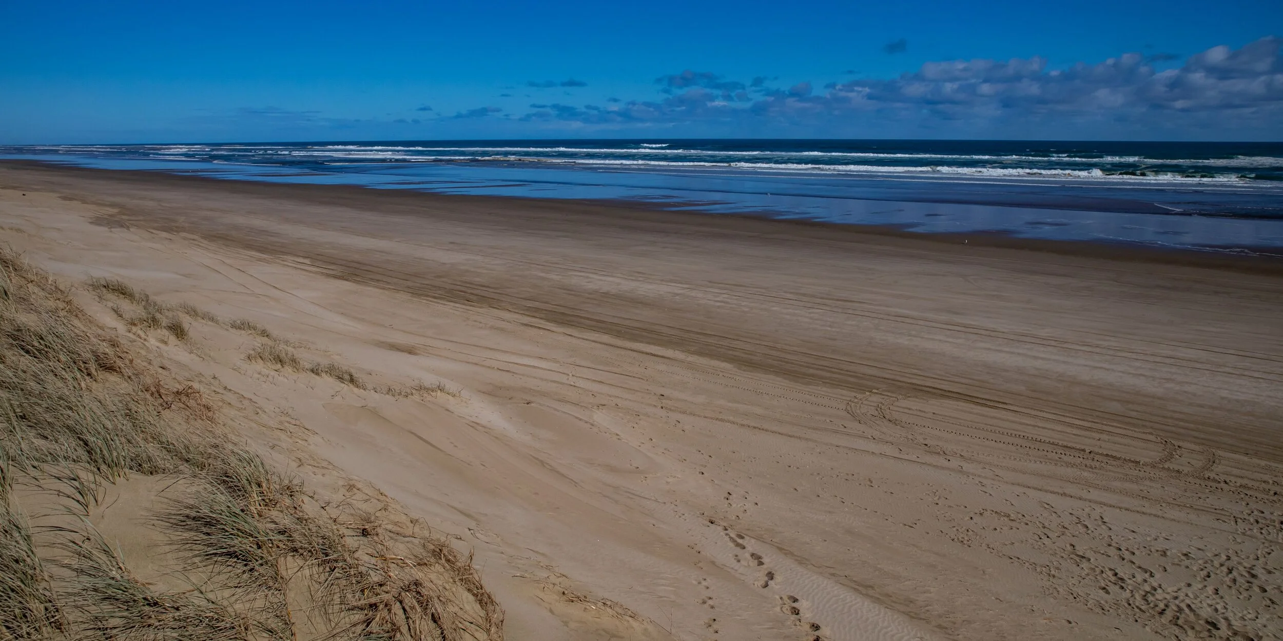 Glinks Gully,Kaipara Coast,-8411.jpg
