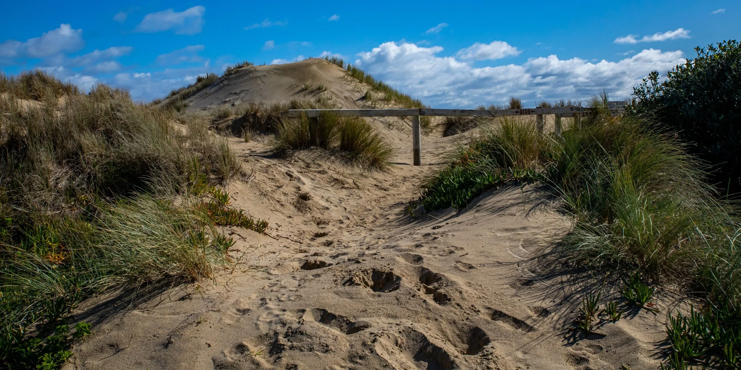 Glinks Gully,Kaipara Coast,-8414.jpg