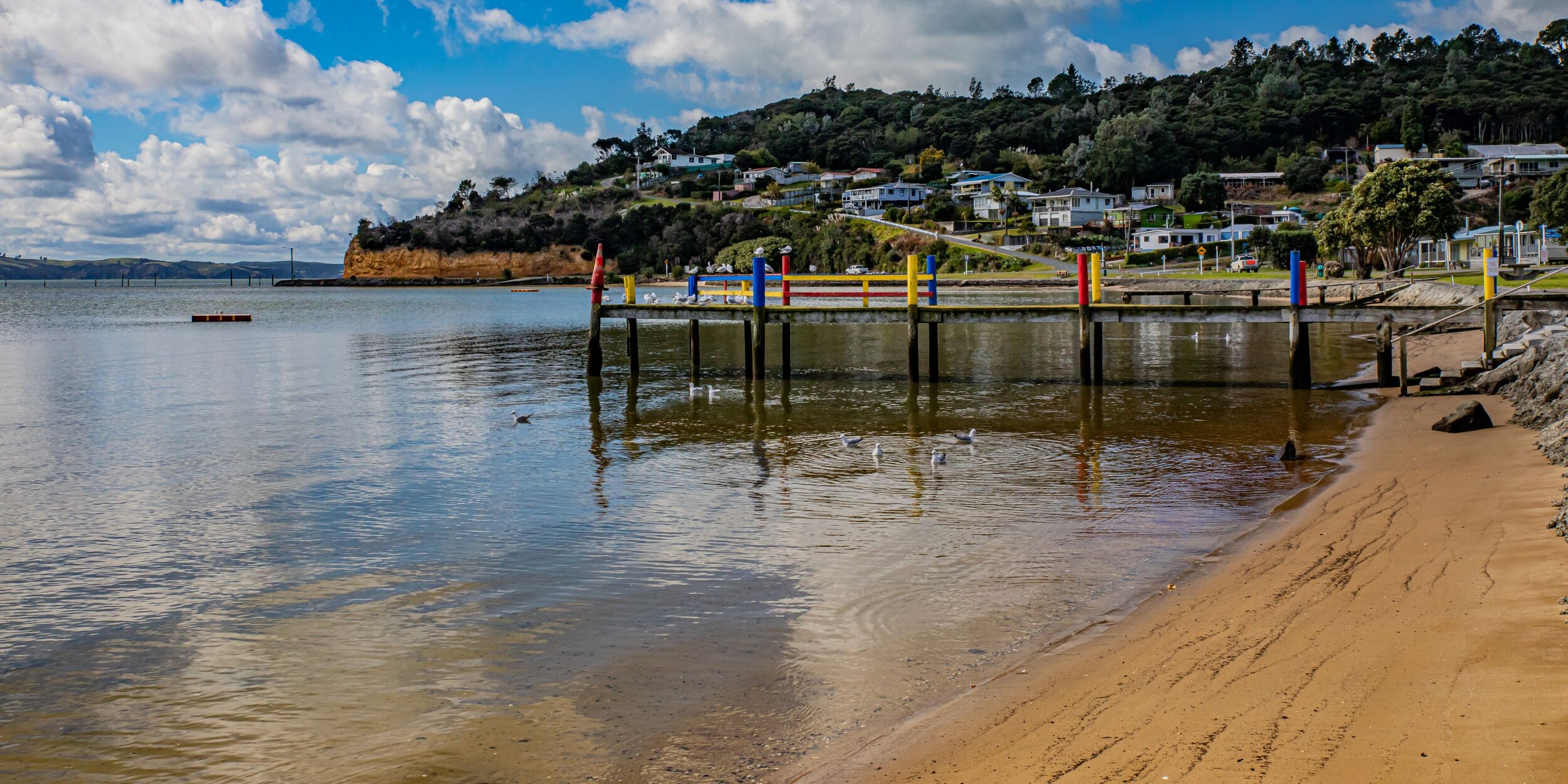 Kelly's Bay,Kaipara,-8355.jpg