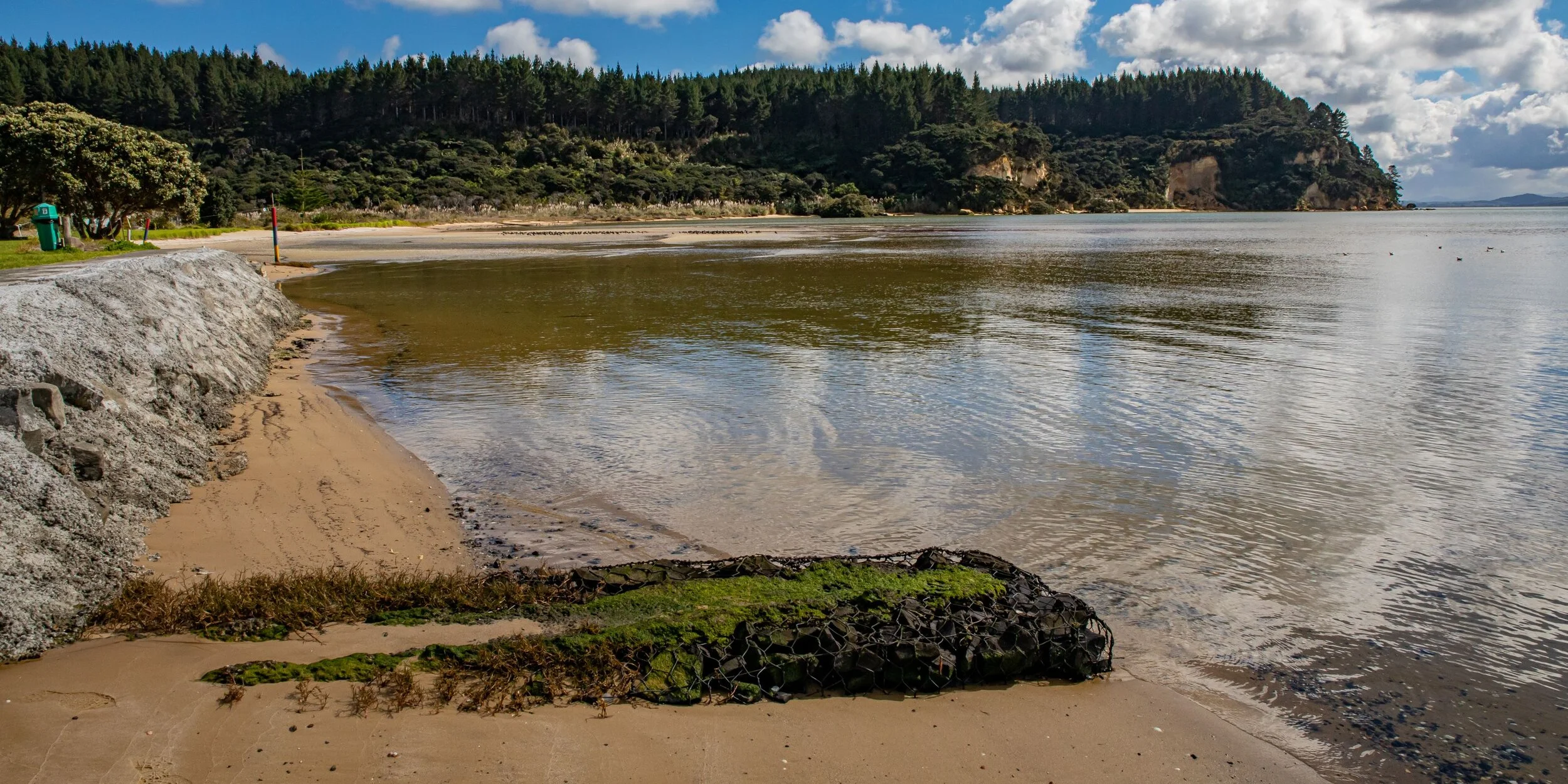 Kelly's Bay,Kaipara,-8356.jpg