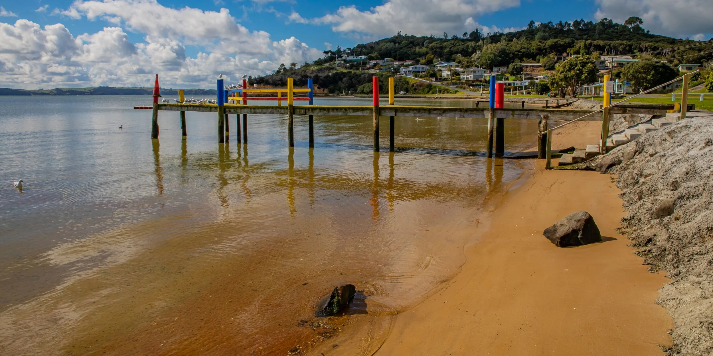 Kelly's Bay,Kaipara,-8357.jpg