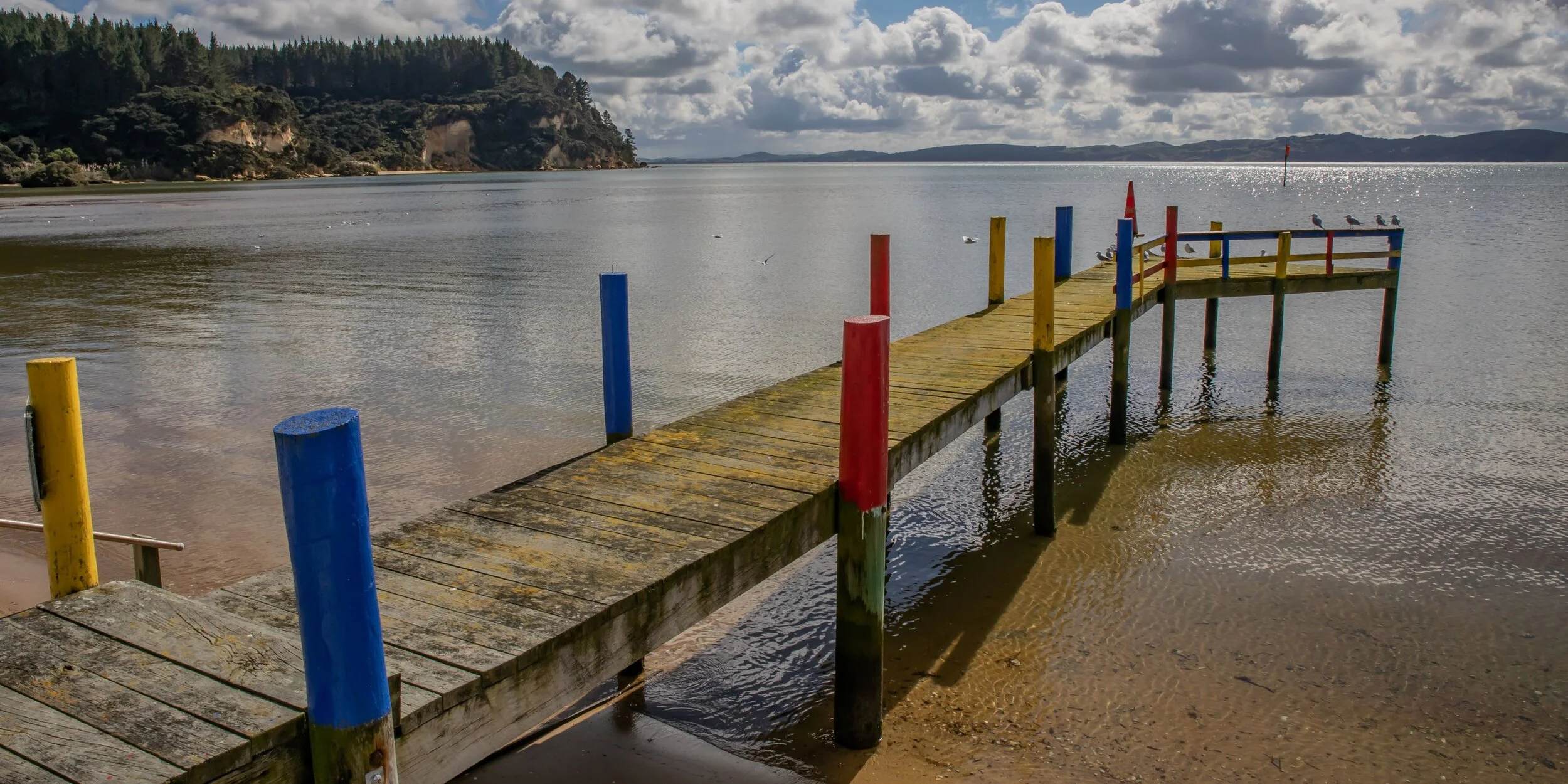 Kelly's Bay,Kaipara,-8361.jpg