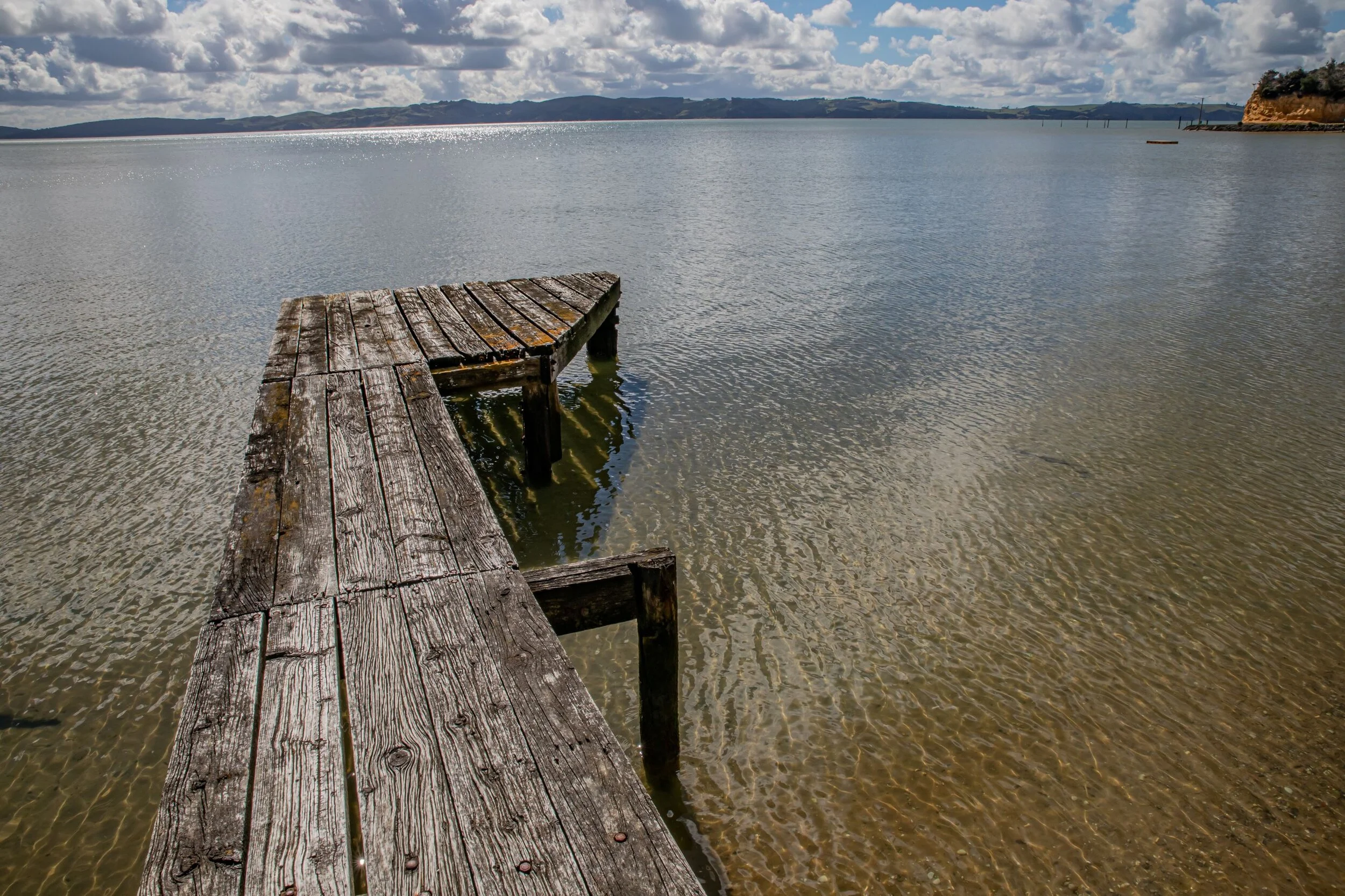 Kelly's Bay,Kaipara,-8365.jpg