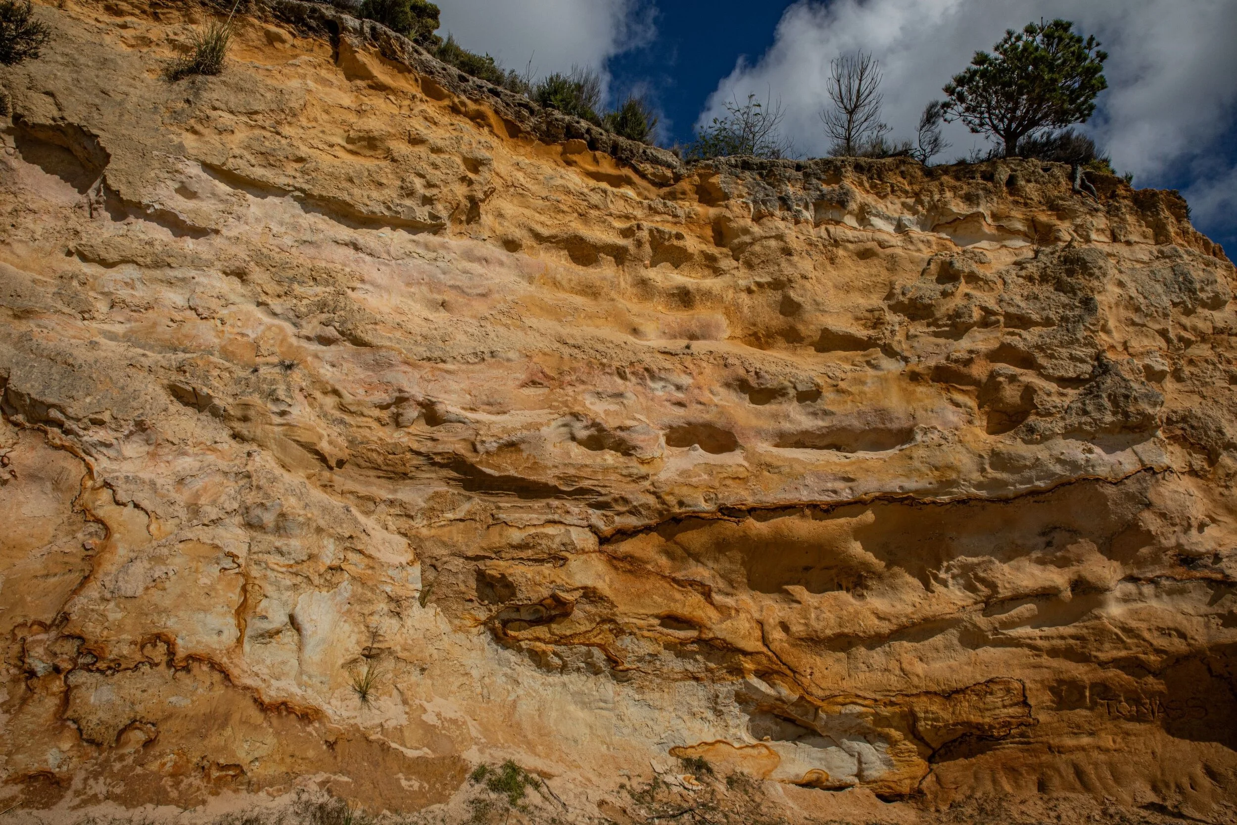 Kelly's Bay,Kaipara,-8370.jpg