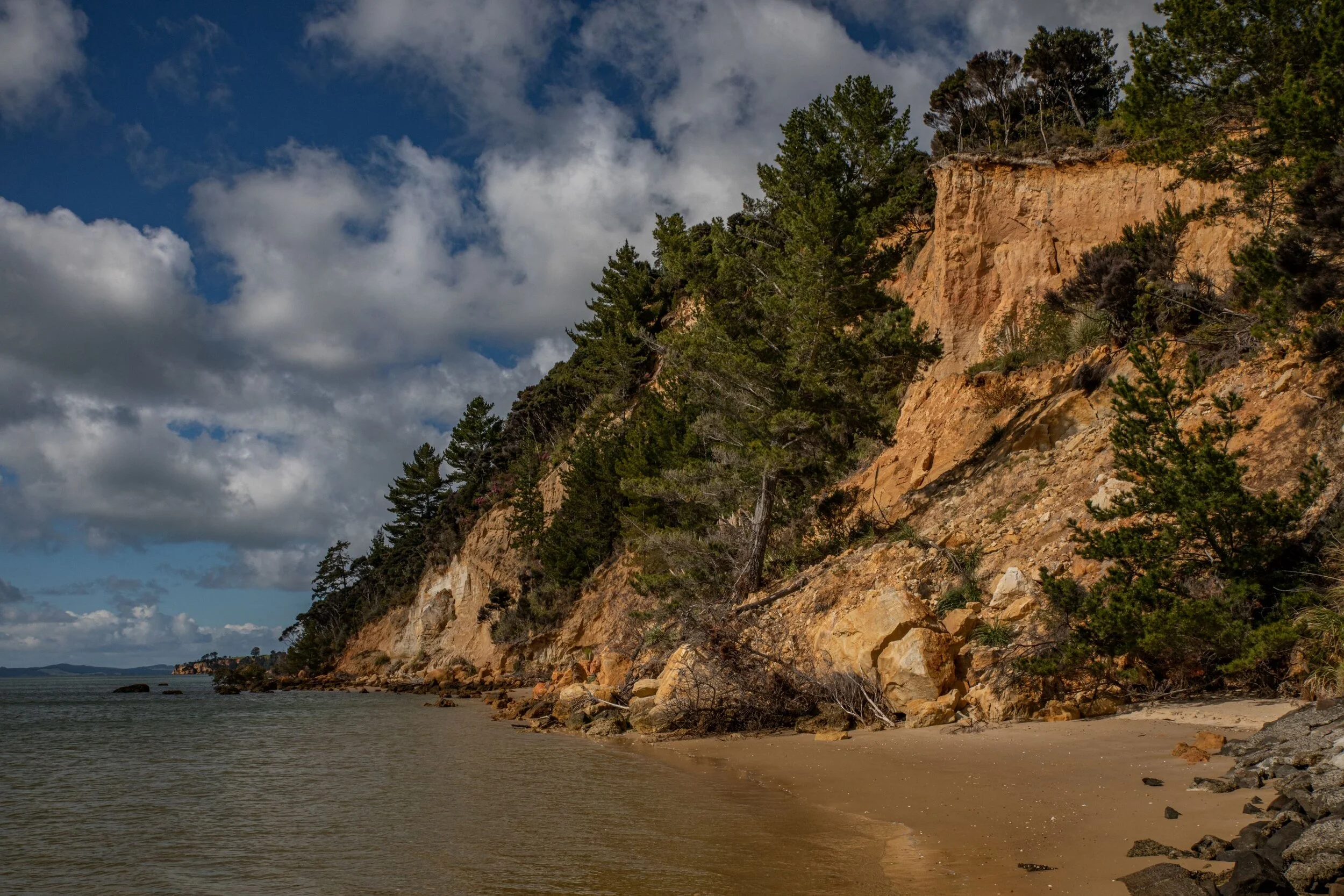 Kelly's Bay,Kaipara,-8371.jpg