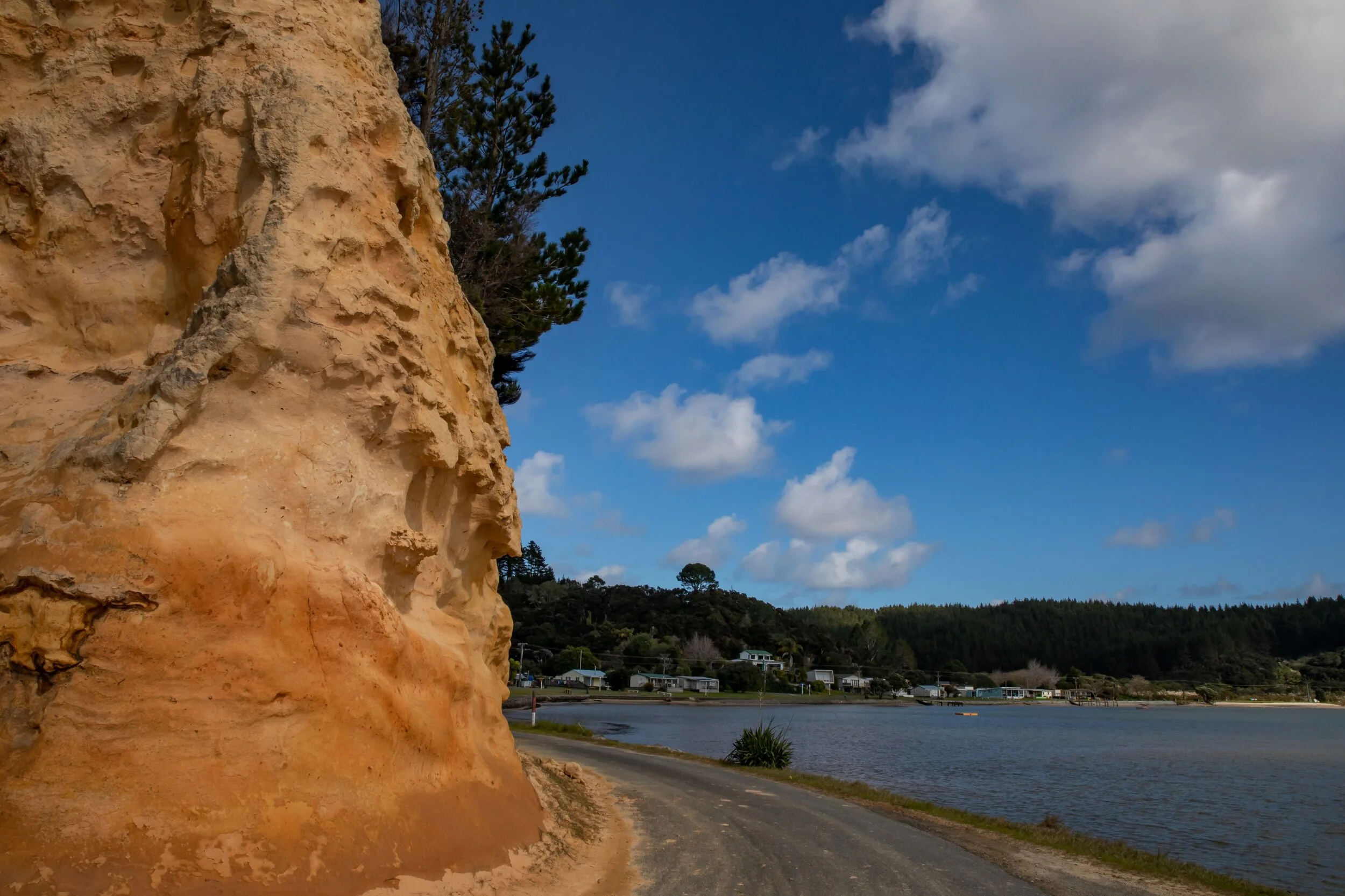 Kelly's Bay,Kaipara,-8372.jpg