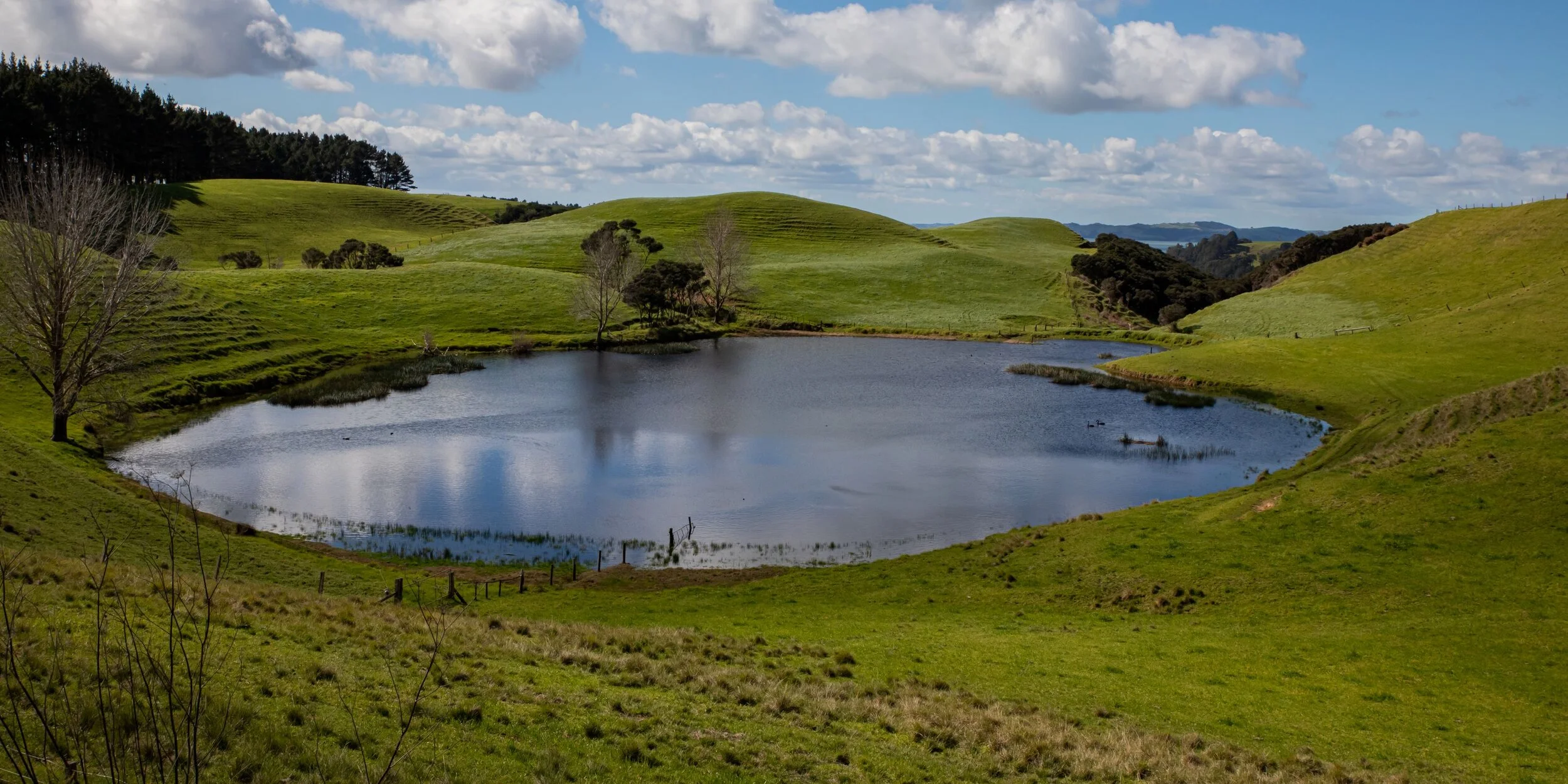 Poutu Peninsula,Kaipara,-8407.jpg