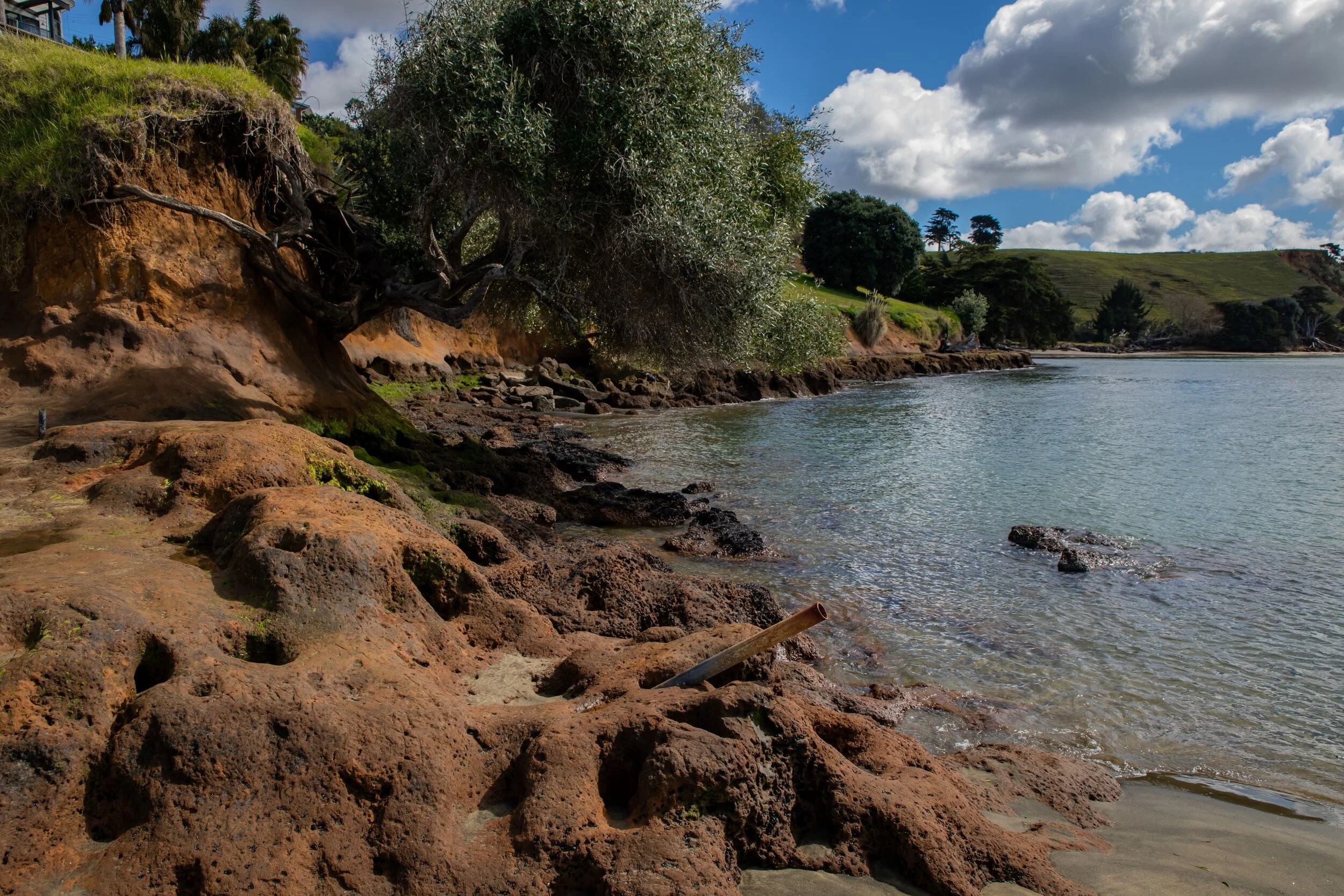 Poutu Point,Kaipara,-8374.jpg