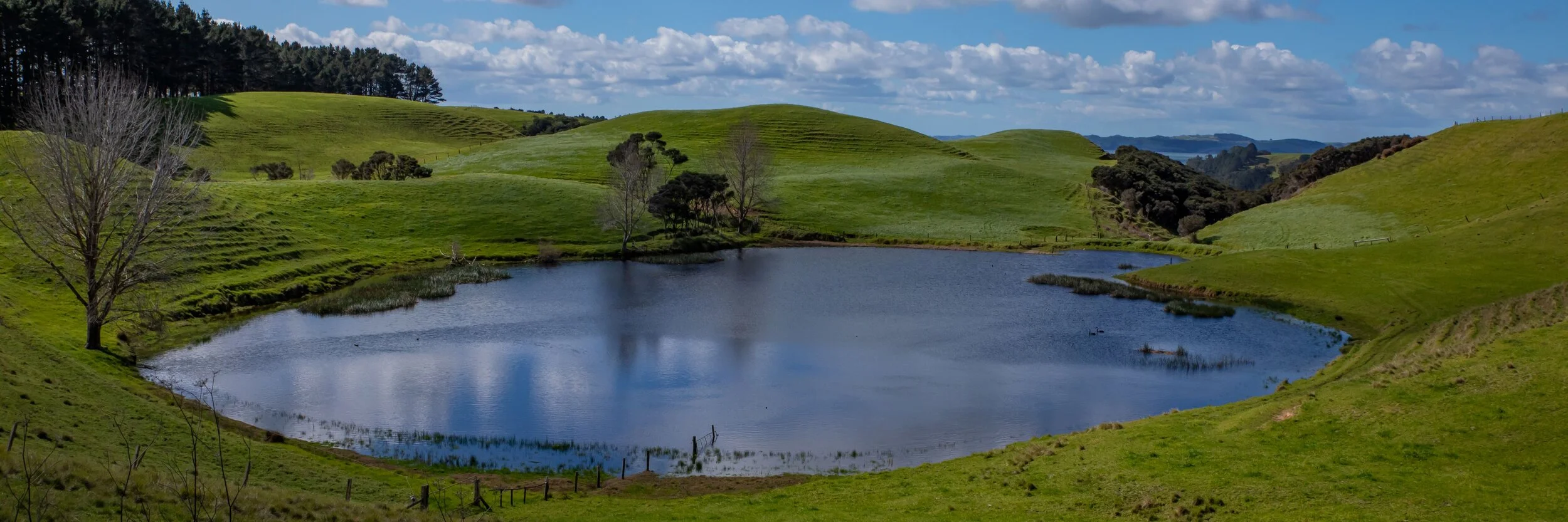 Poutu Peninsula,Kaipara,-8408.jpg