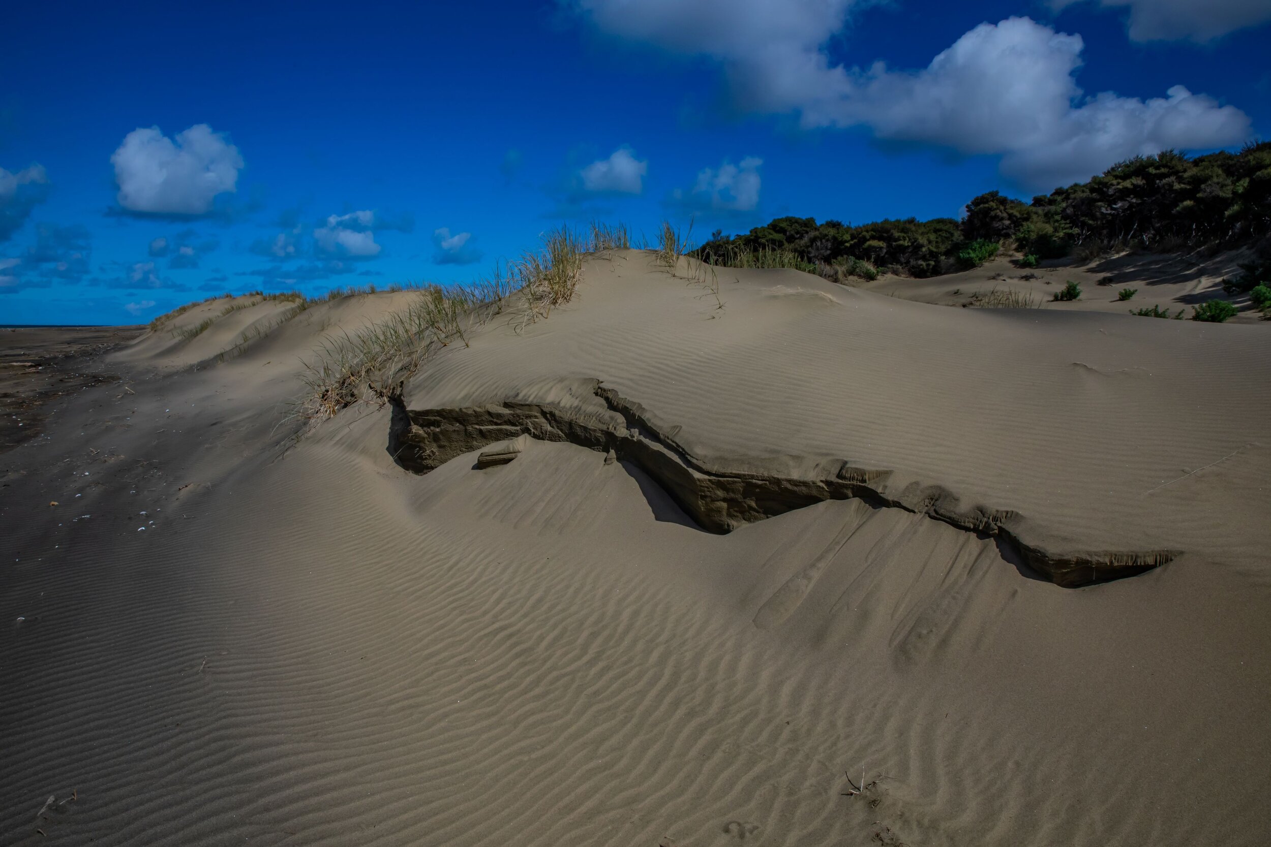 Poutu Point,Kaipara,-8385.jpg