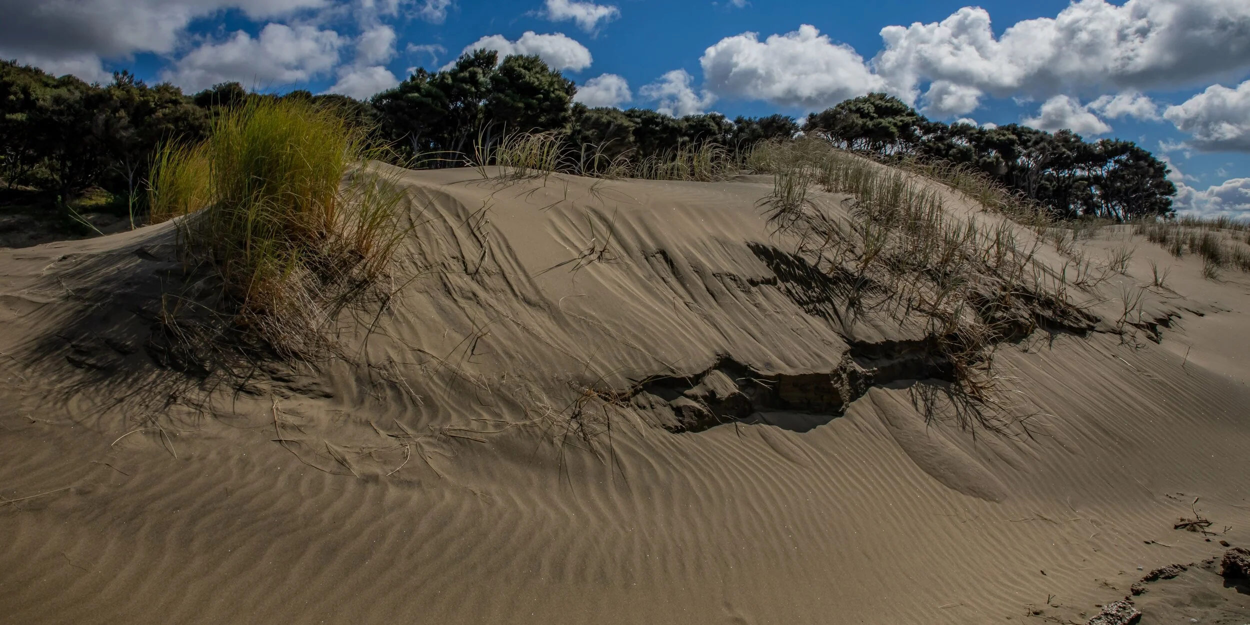 Poutu Point,Kaipara,-8386.jpg