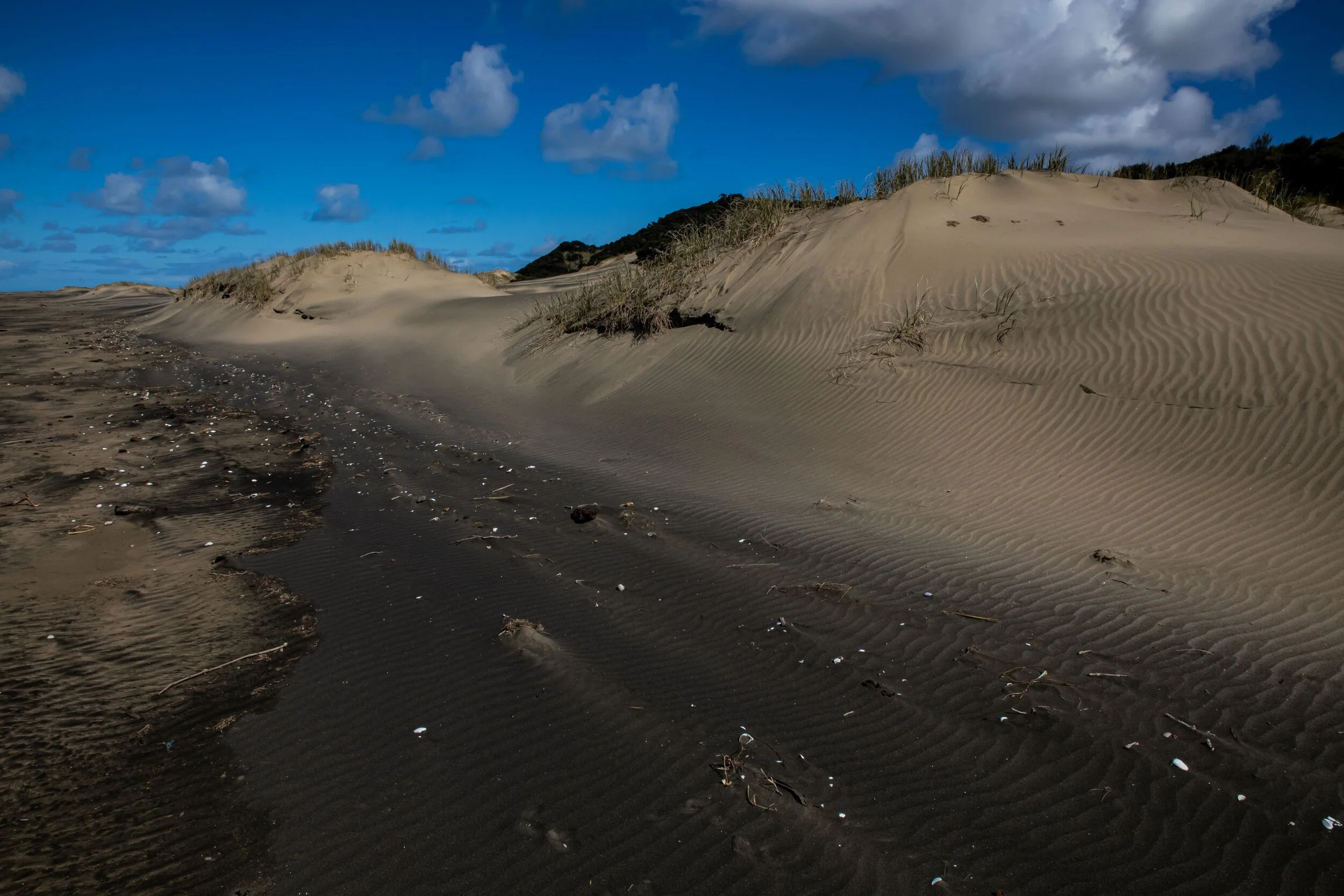 Poutu Point,Kaipara,-8389.jpg