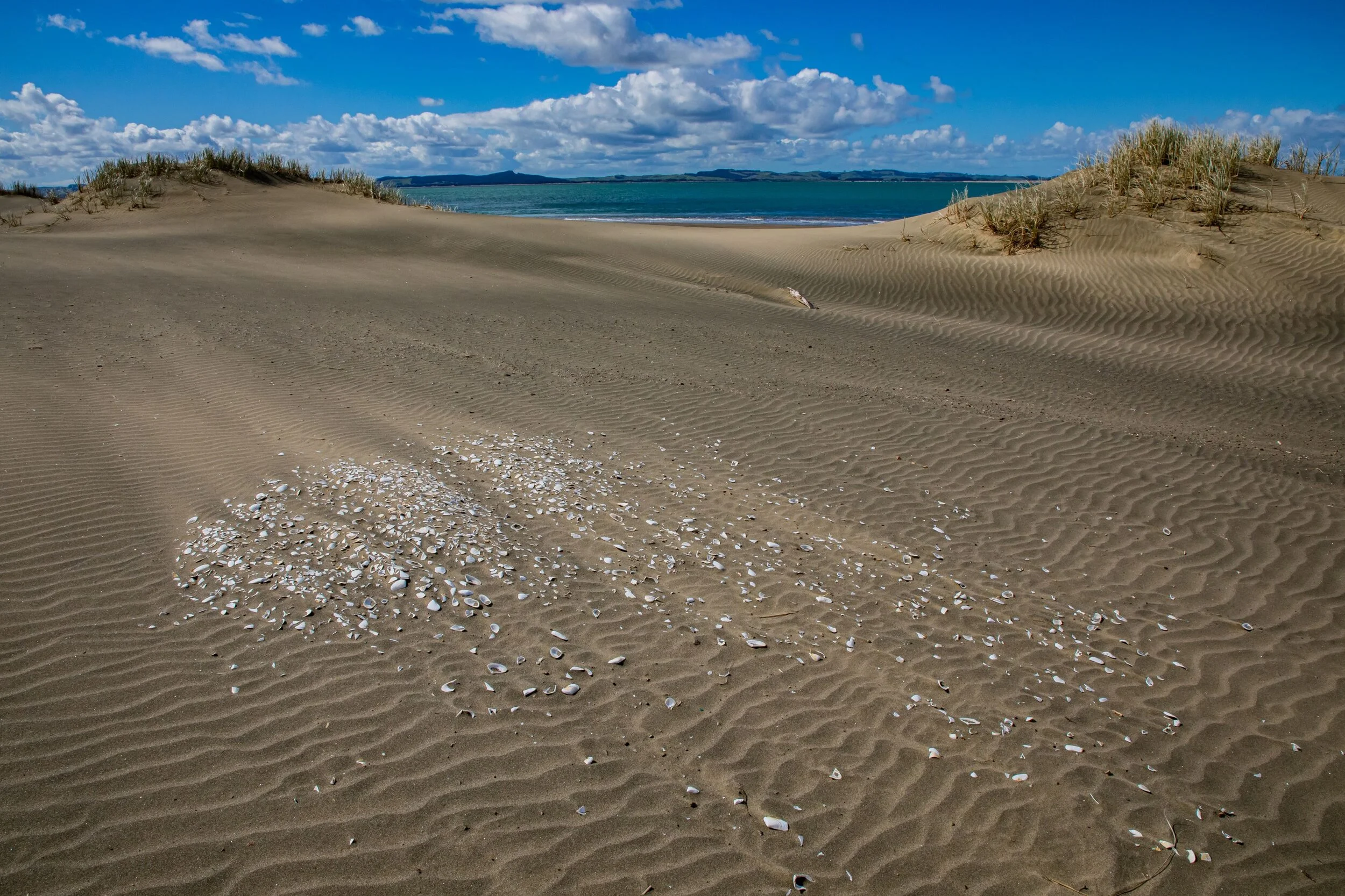 Poutu Point,Kaipara,-8392.jpg