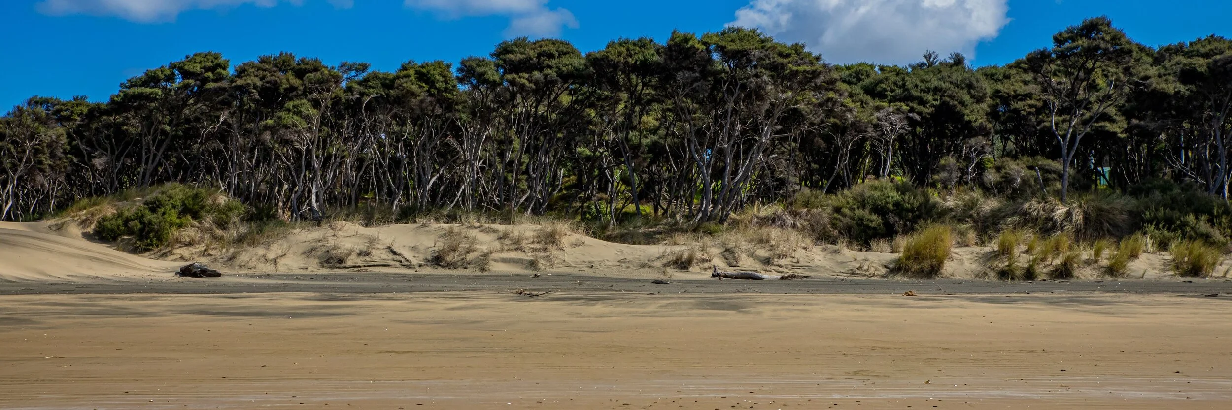 Poutu Point,Kaipara,-8401.jpg