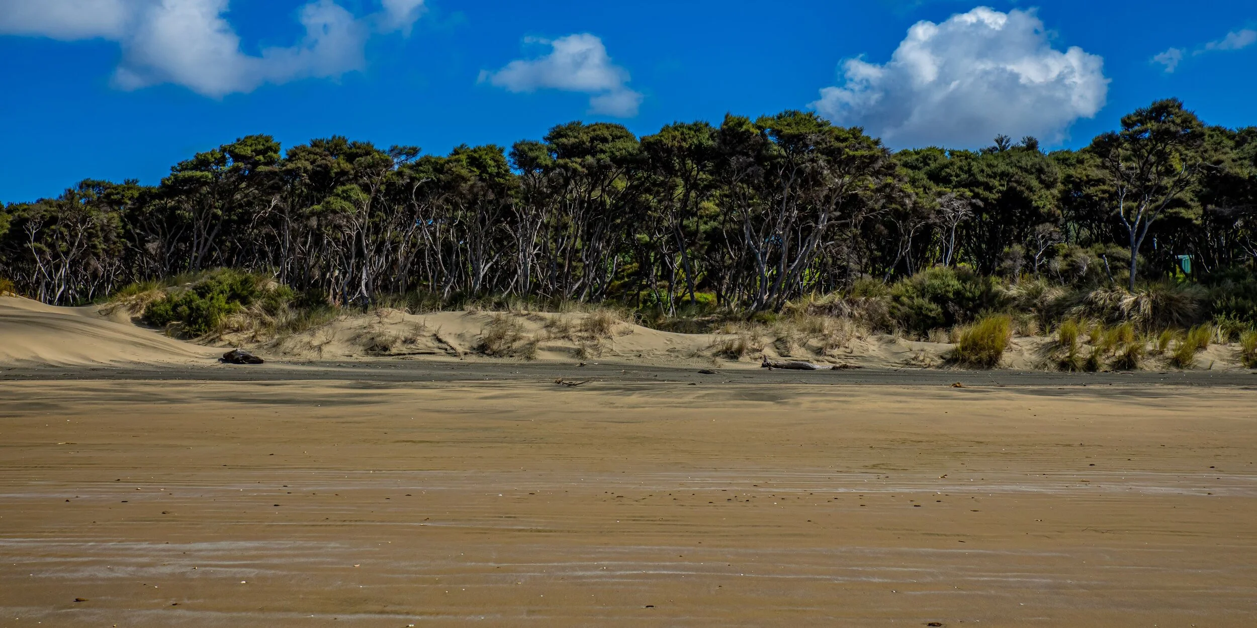 Poutu Point,Kaipara,-8402.jpg
