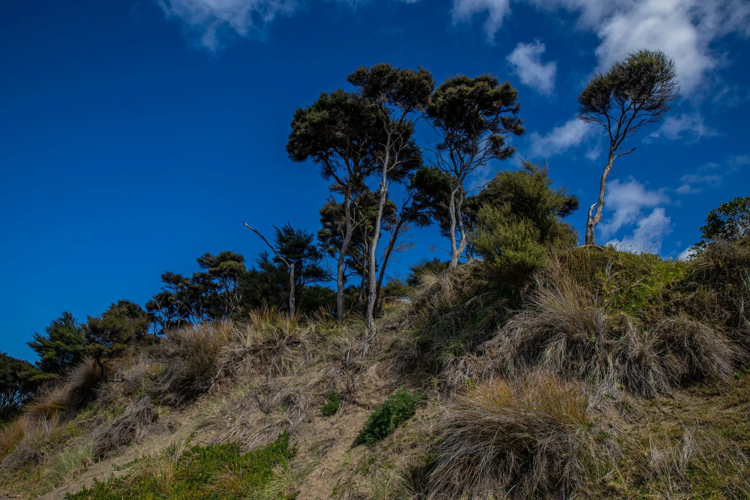 Poutu Point,Kaipara,-8404.jpg