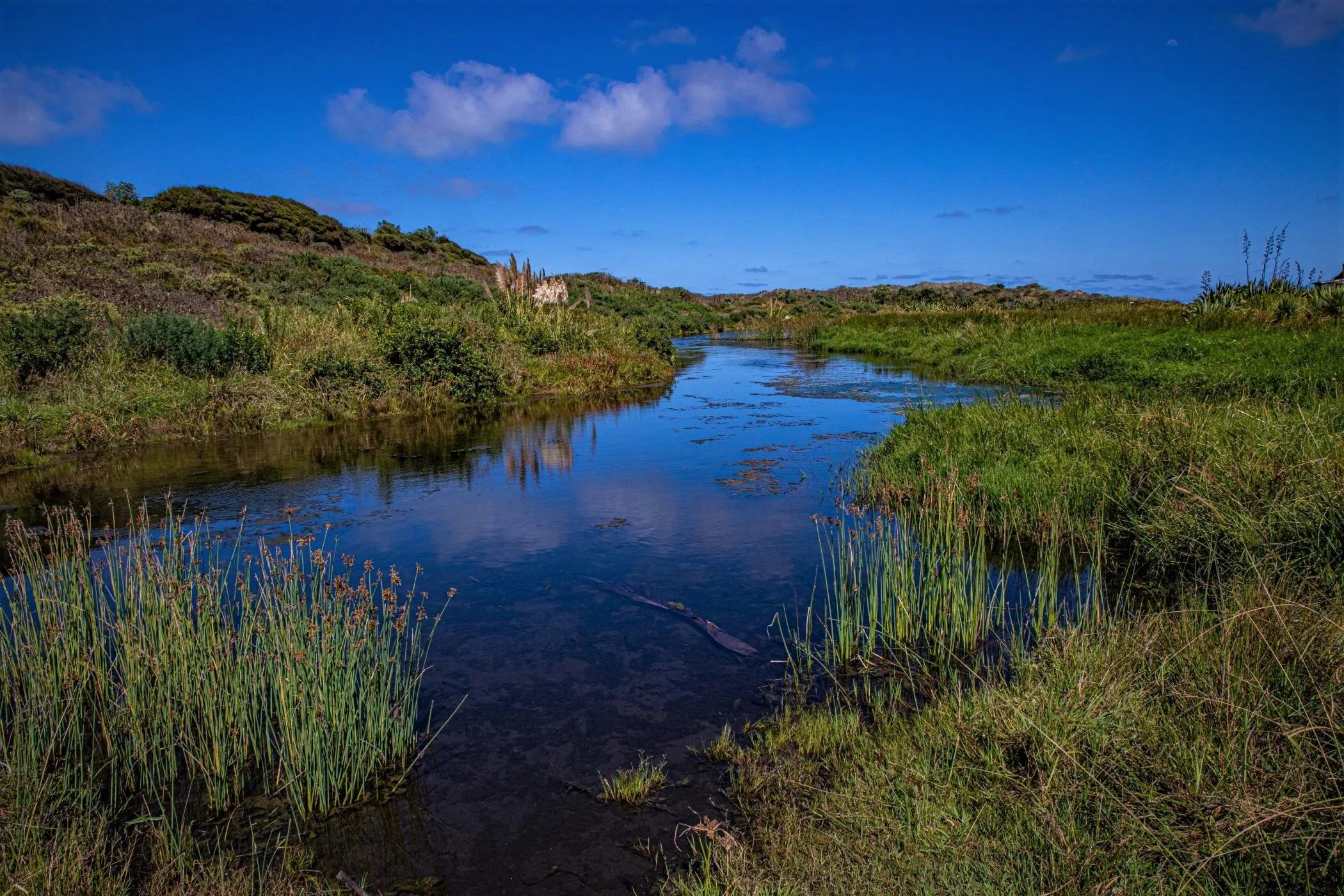 Karekare,-0829 (2).jpg