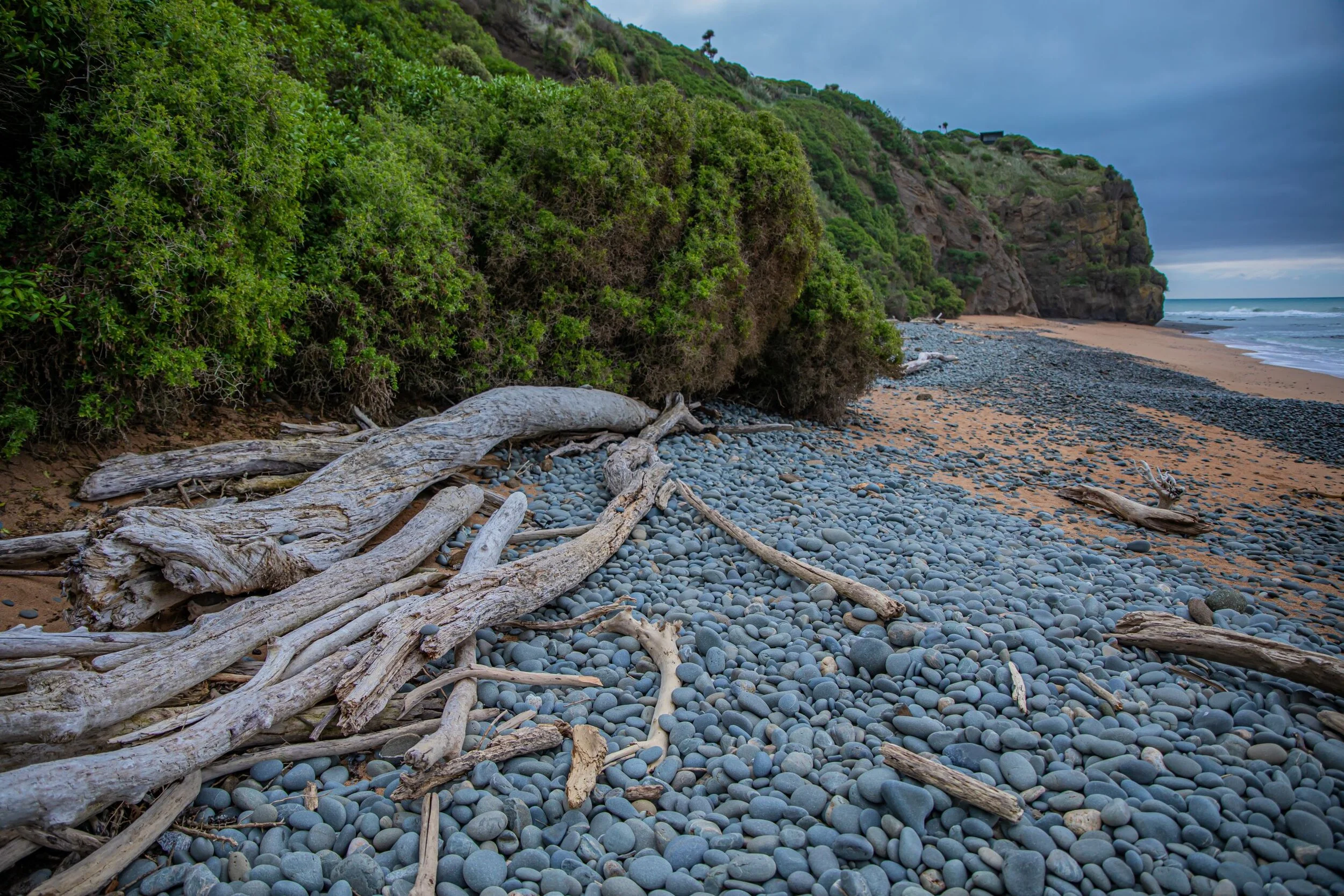 Otago,Bushy Beach,-2961.jpg