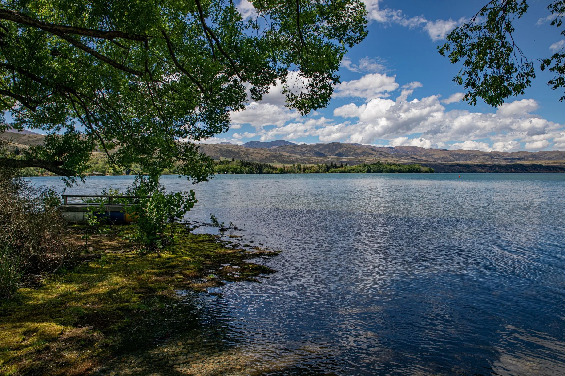 Otago,Lake Aviemore,-2676.jpg