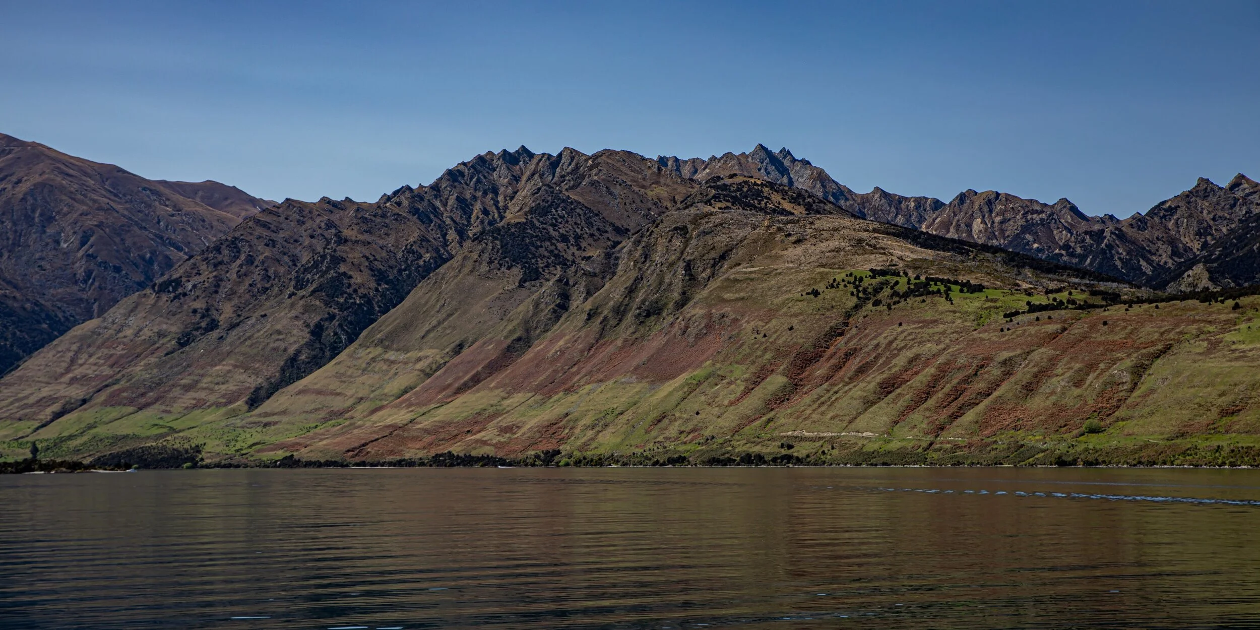 Otago,Lake Wanaka Cruise,-2182.jpg
