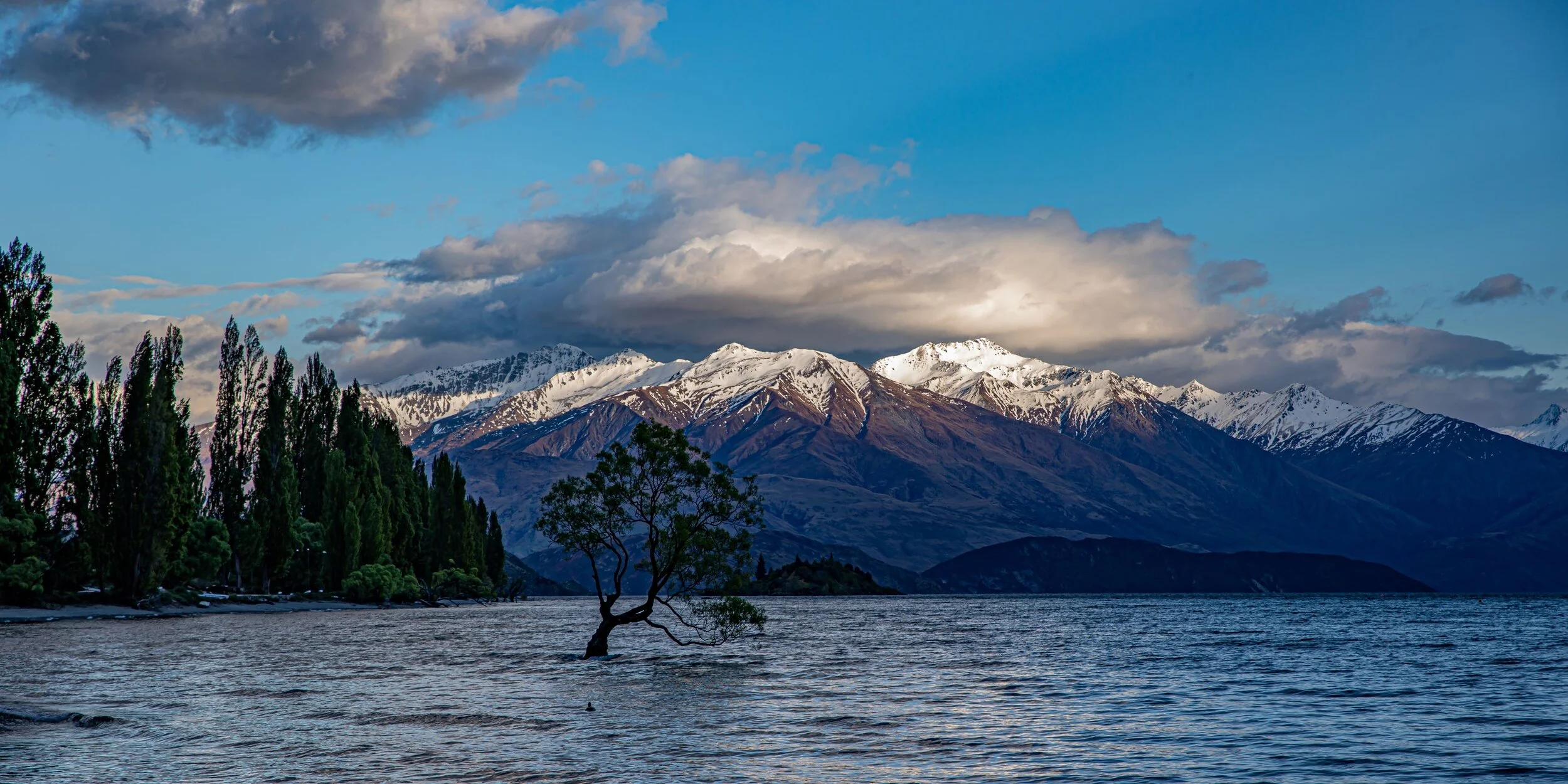 Otago,Lake Wanaka,-1557.jpg