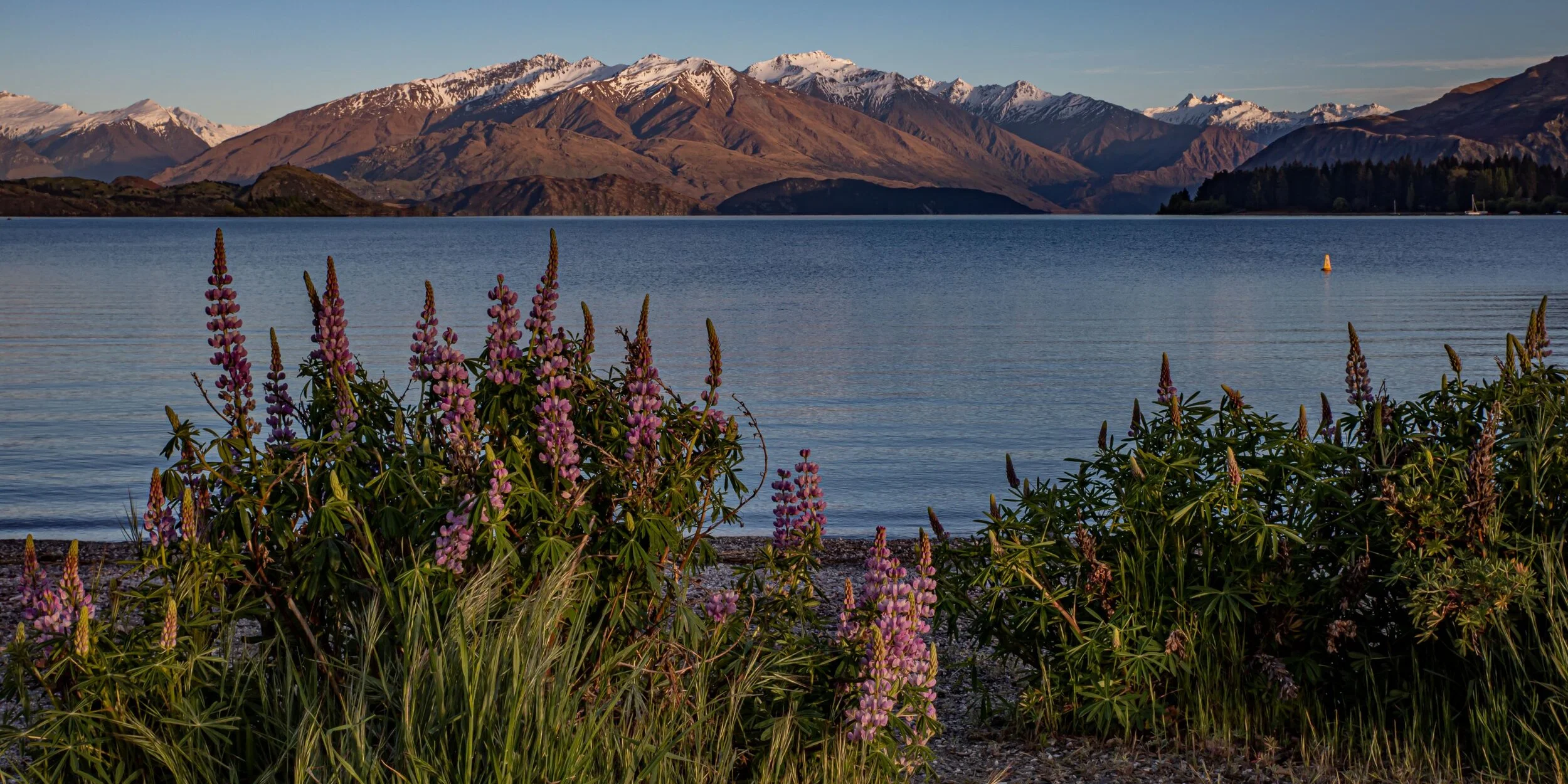 Otago,Lake Wanaka,-1697.jpg