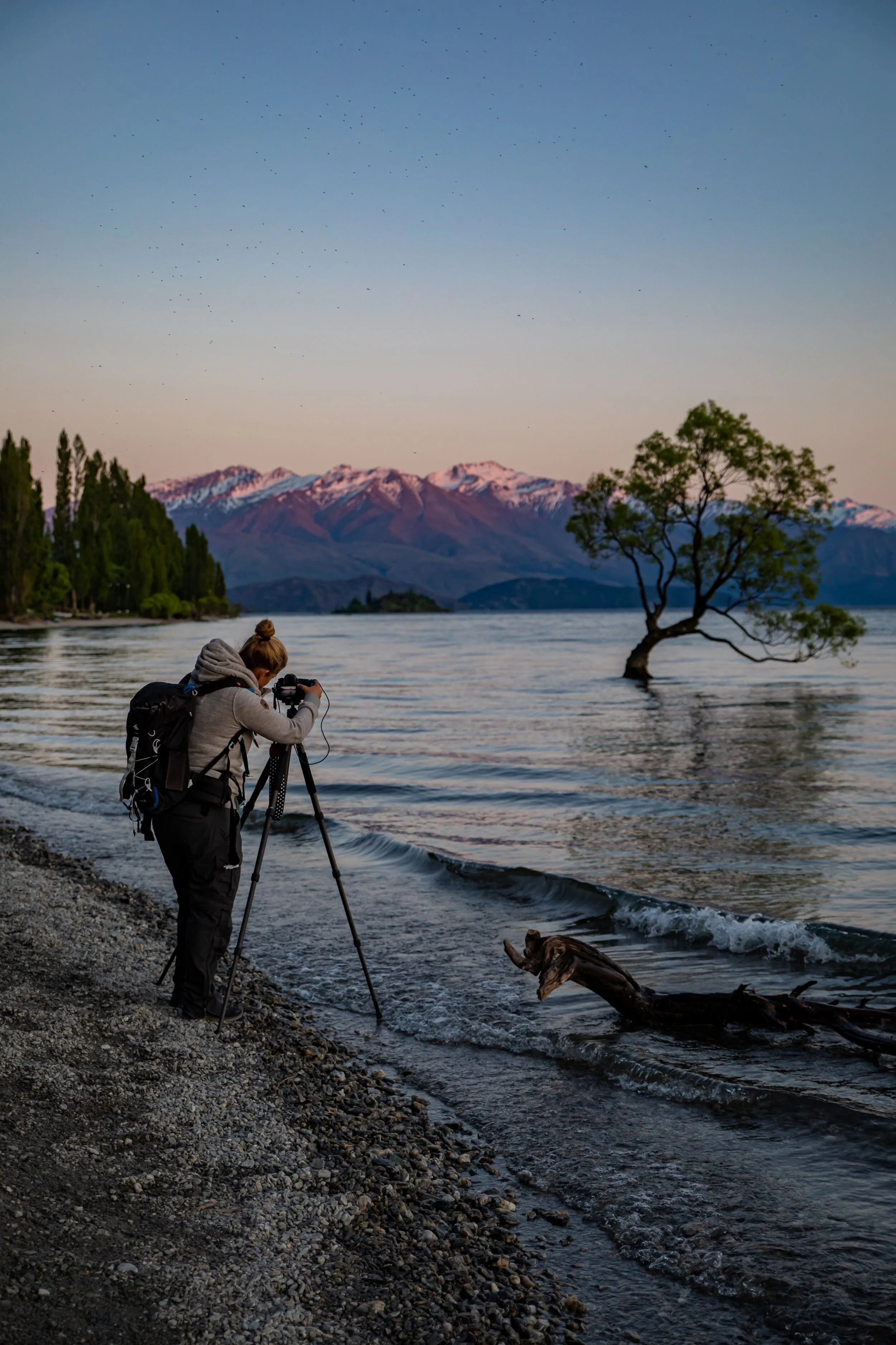 Otago,Lake Wanaka,-2202.jpg