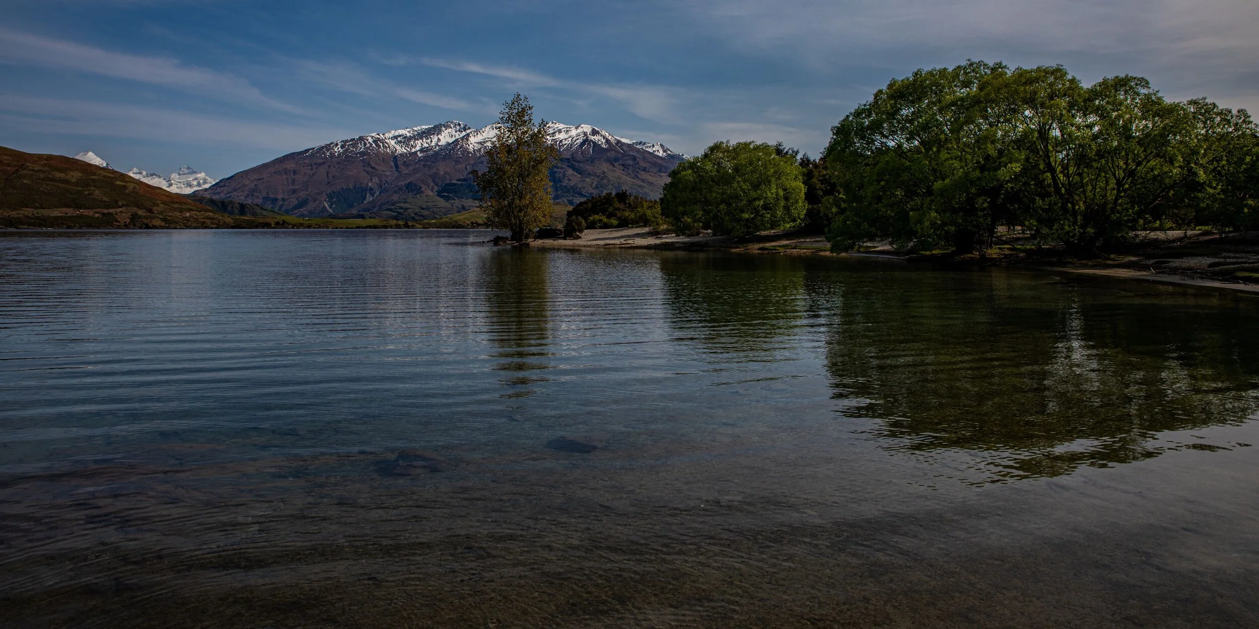 Otago,Lake Wanaka,Glendhu Bay,-2113.jpg