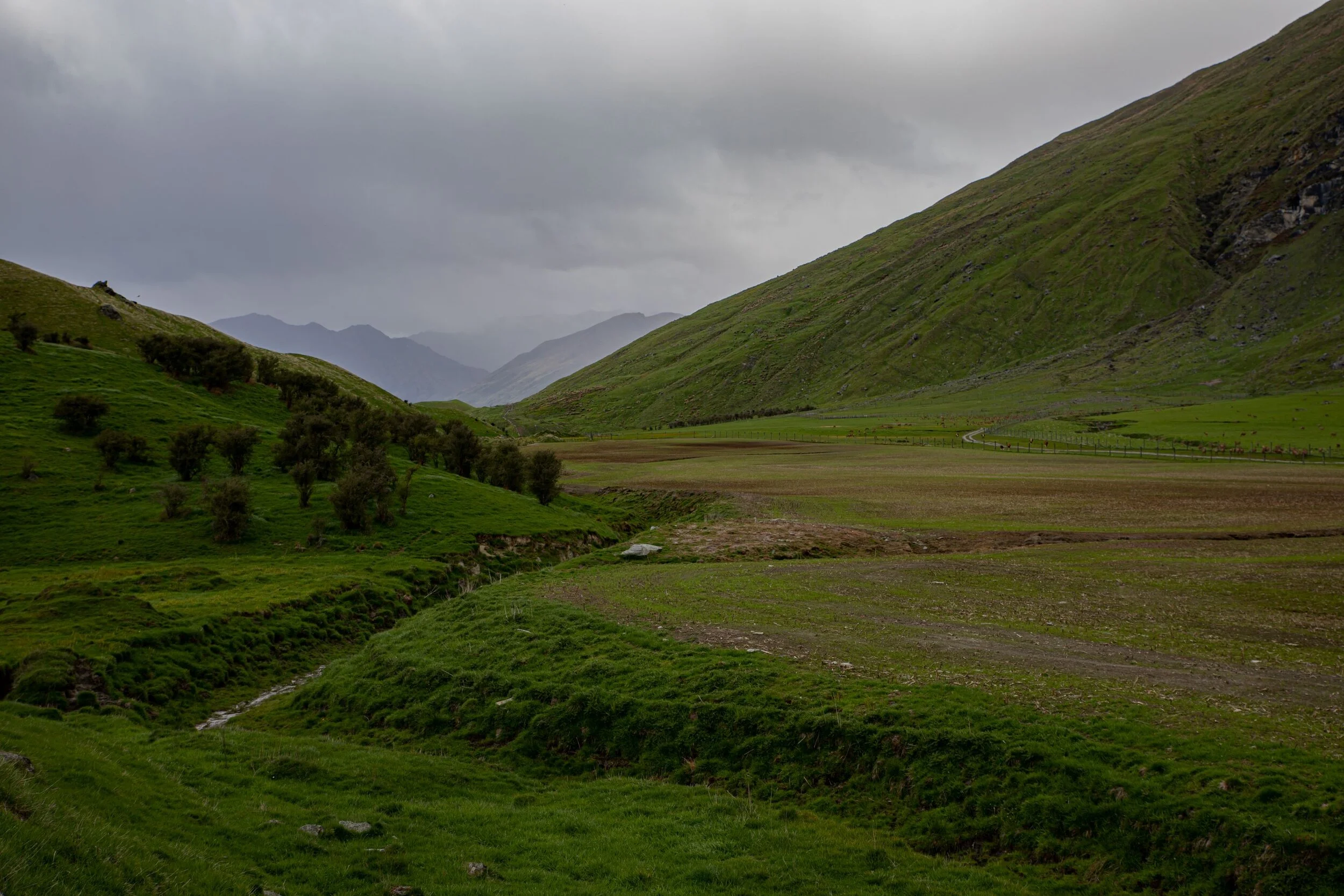 Otago,Matukituki Valley,-1600.jpg