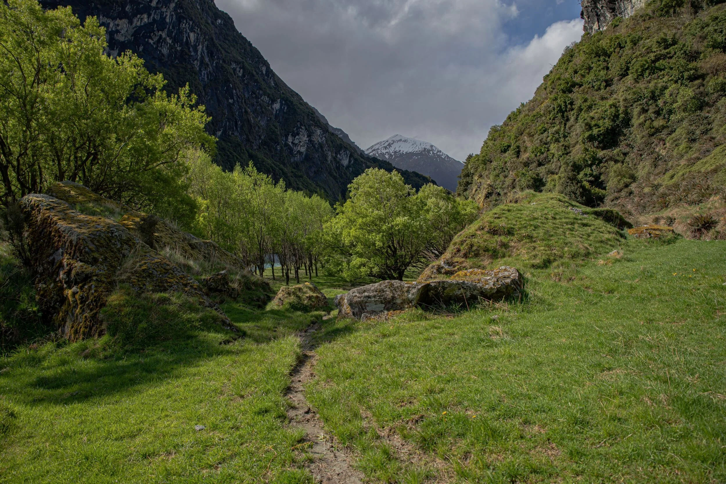 Otago,Matukituki Valley,-1625.jpg