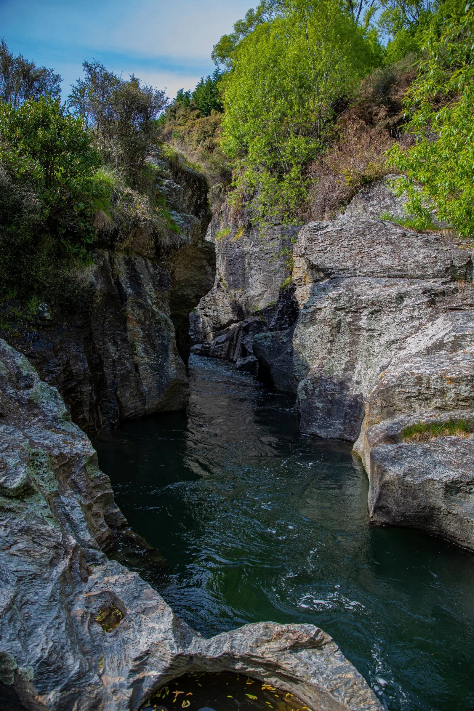 Otago,Motutapu River Gorge,-2139.jpg