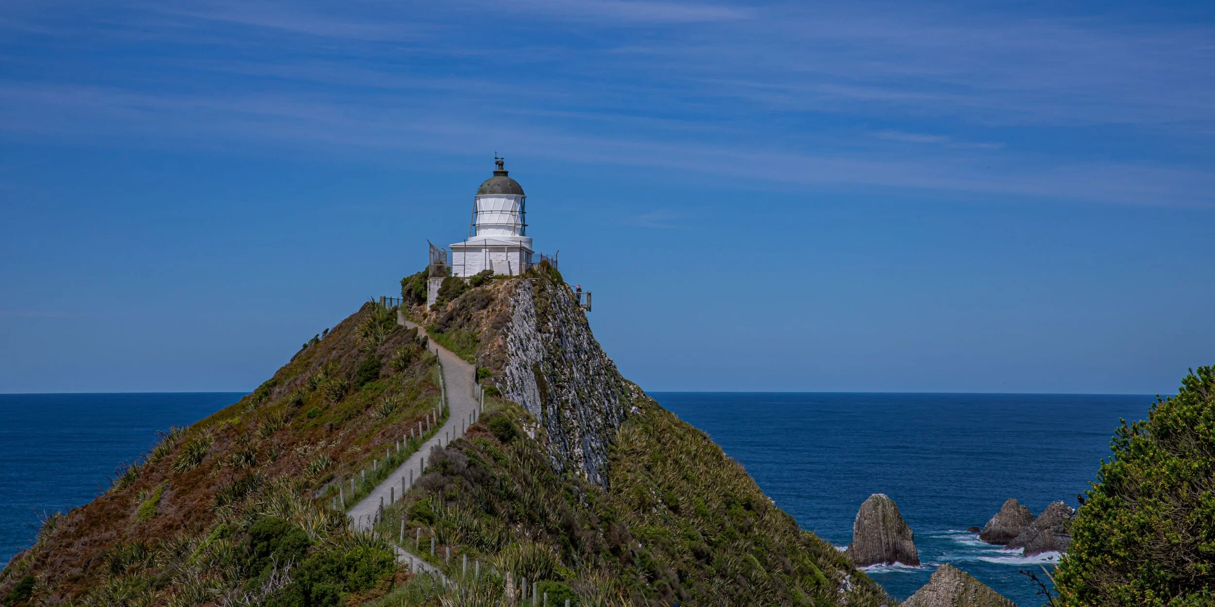 Otago,Nugget Point,-3047.jpg