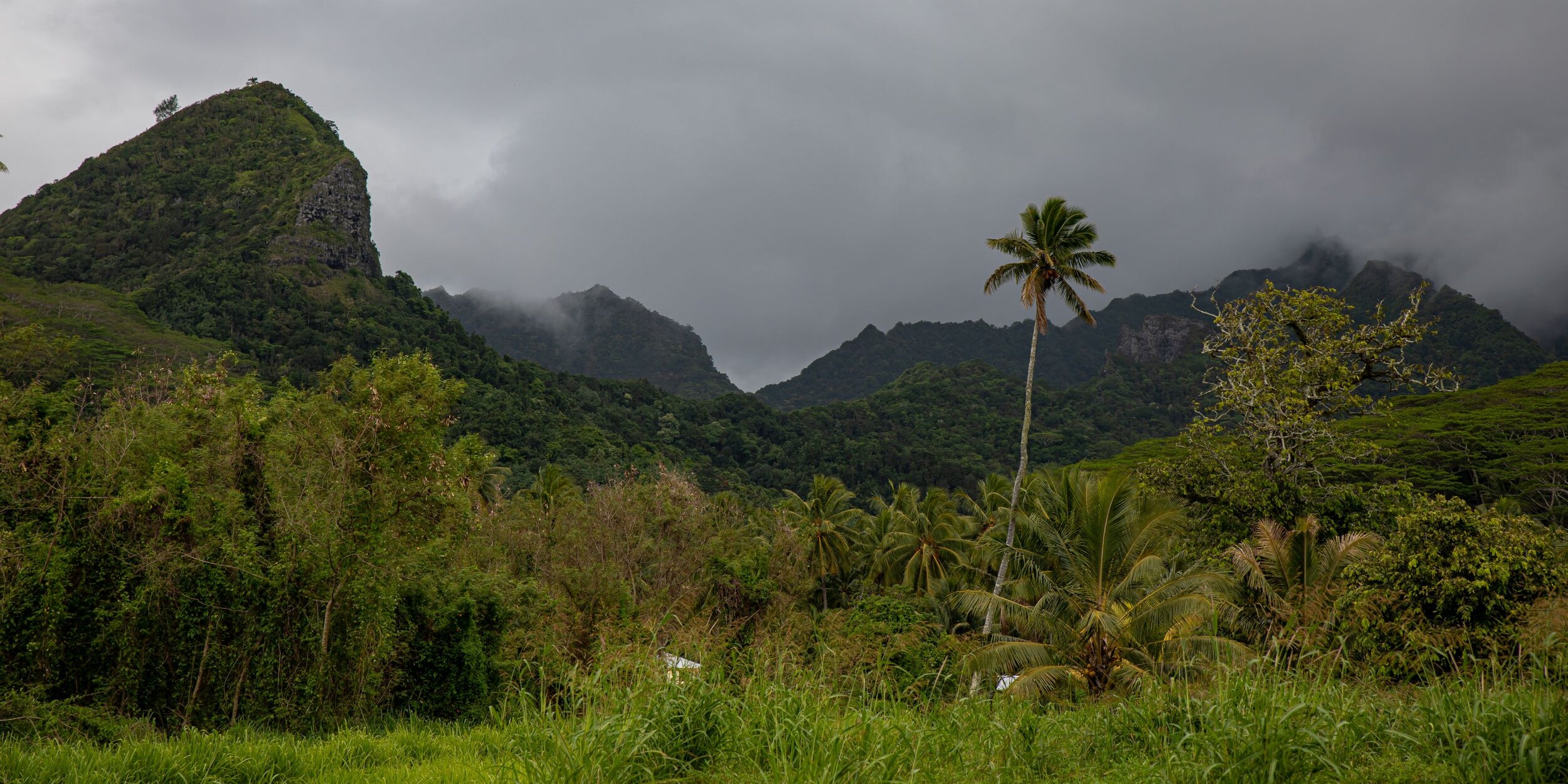 Rarotonga,Hinterland,-0405.jpg