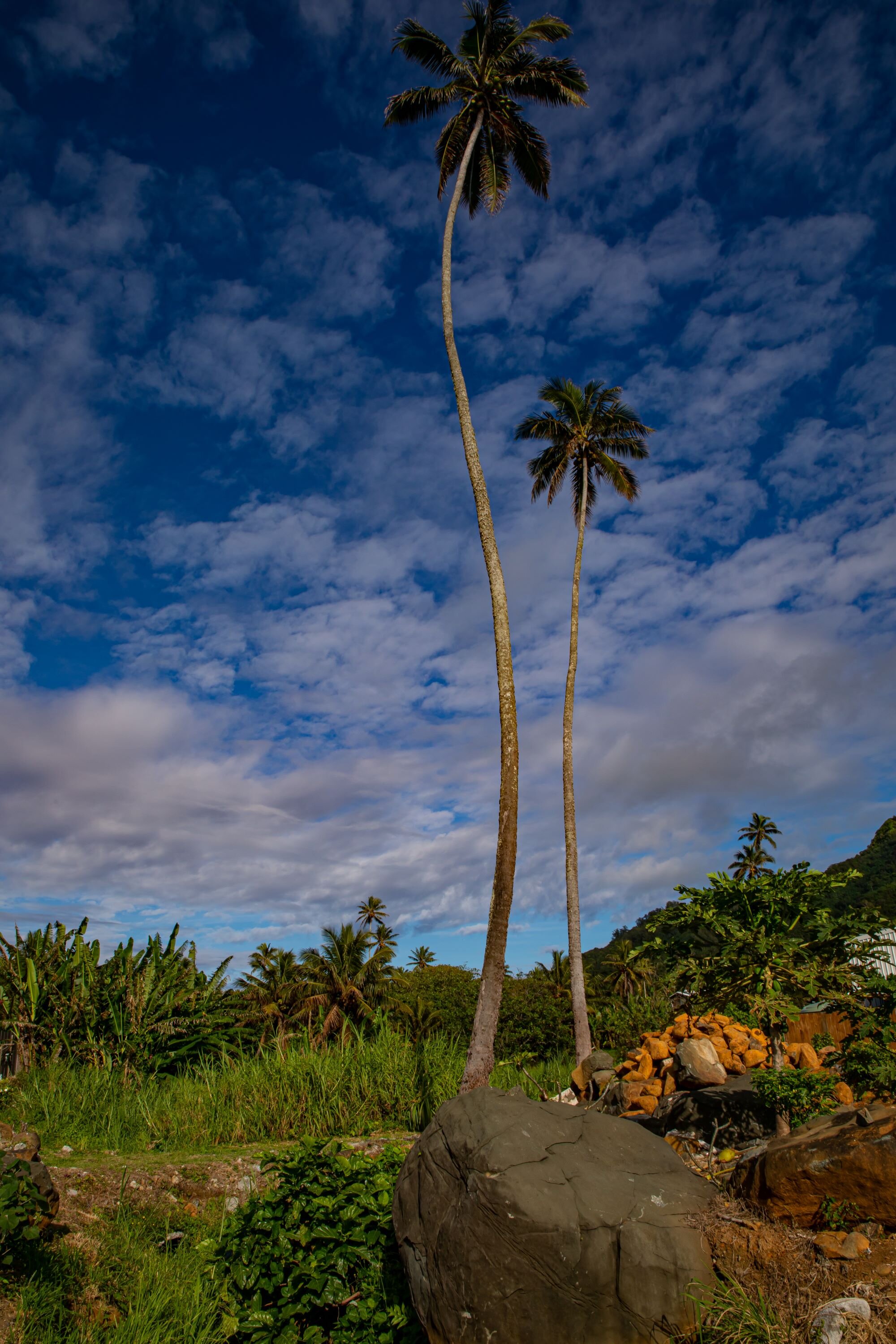Rarotonga,Muri,-0507.jpg