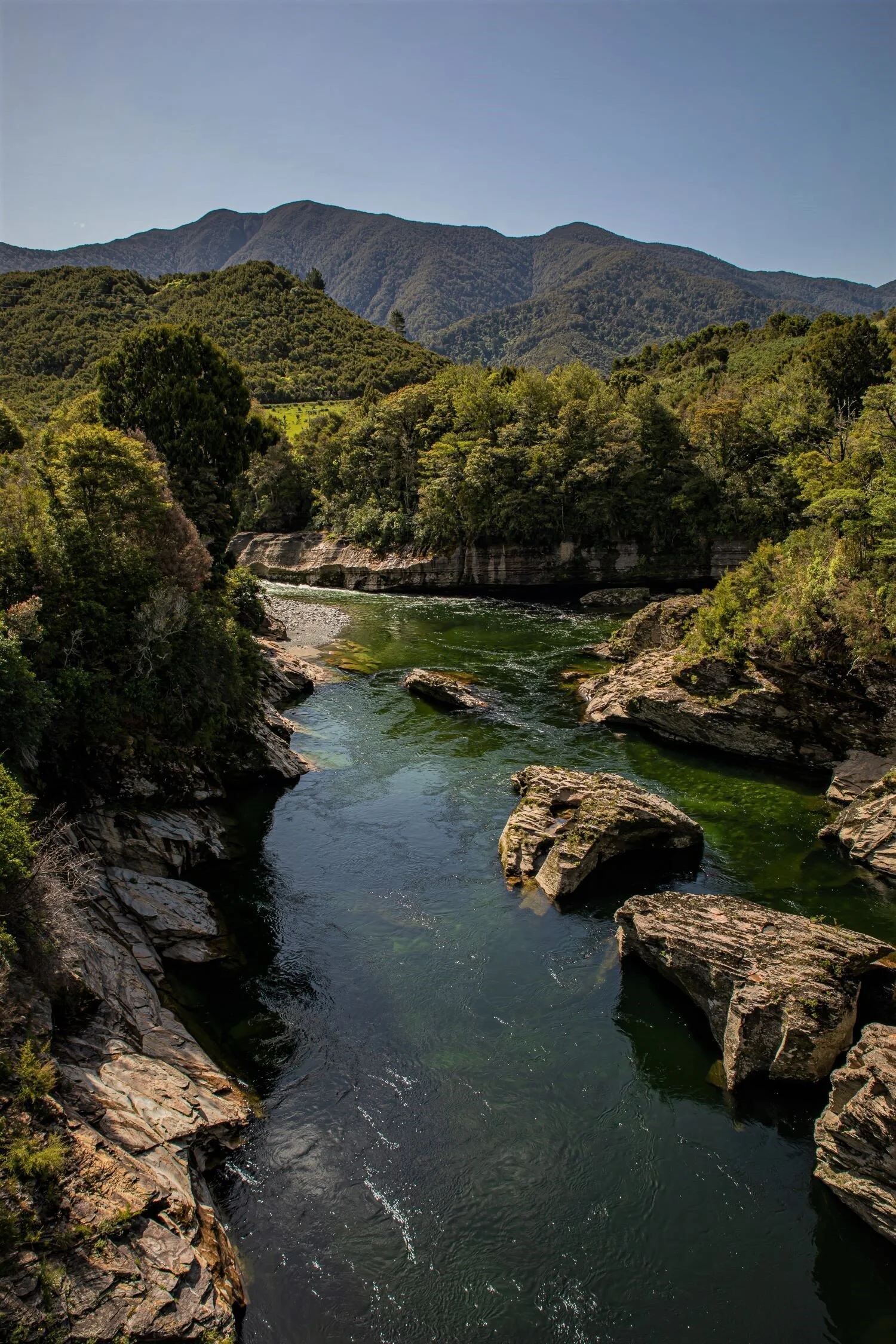 Golden Bay Journey,Aorere River,-4119 (2).jpg