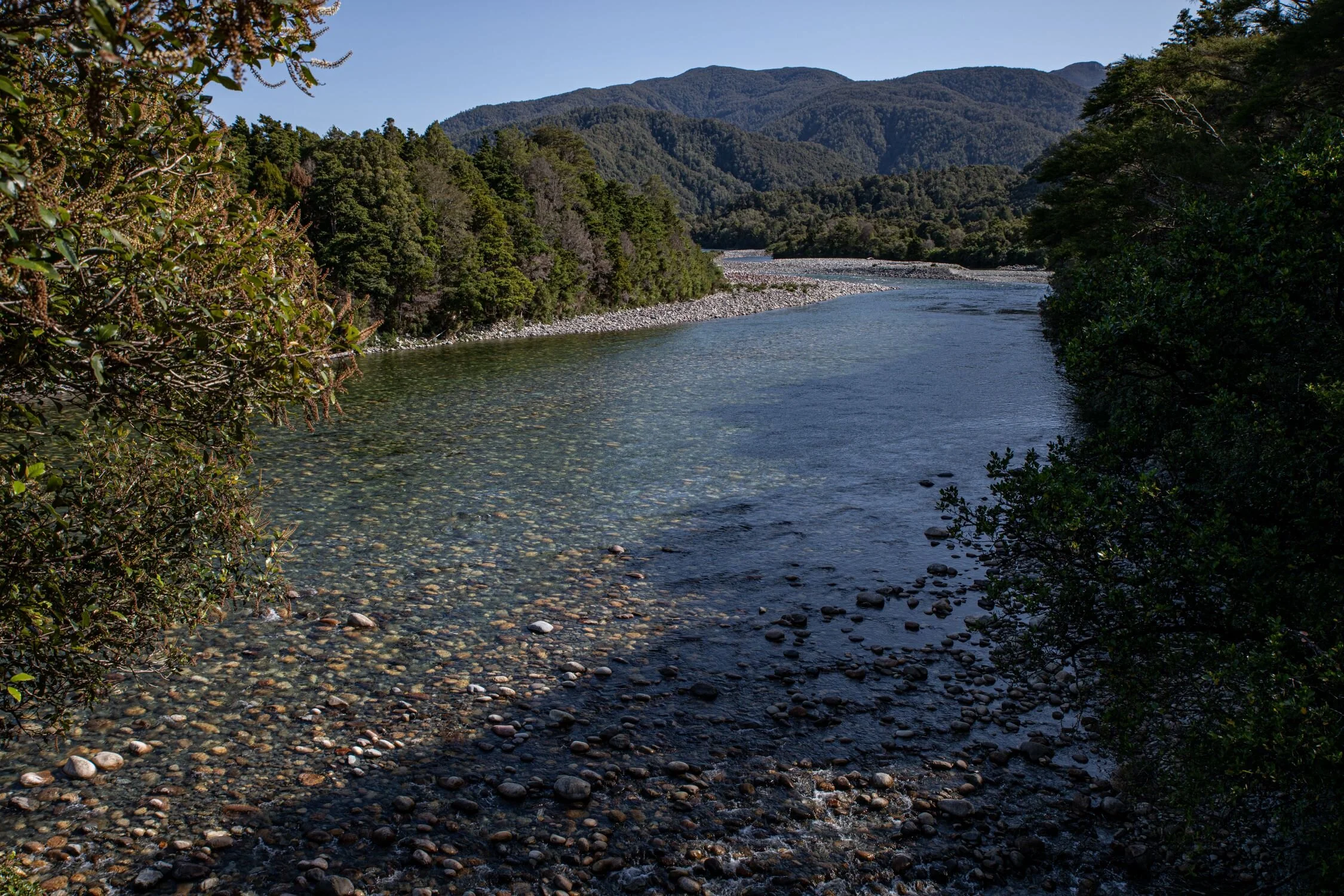 Golden Bay Journey,Aorere River,-4176.jpg