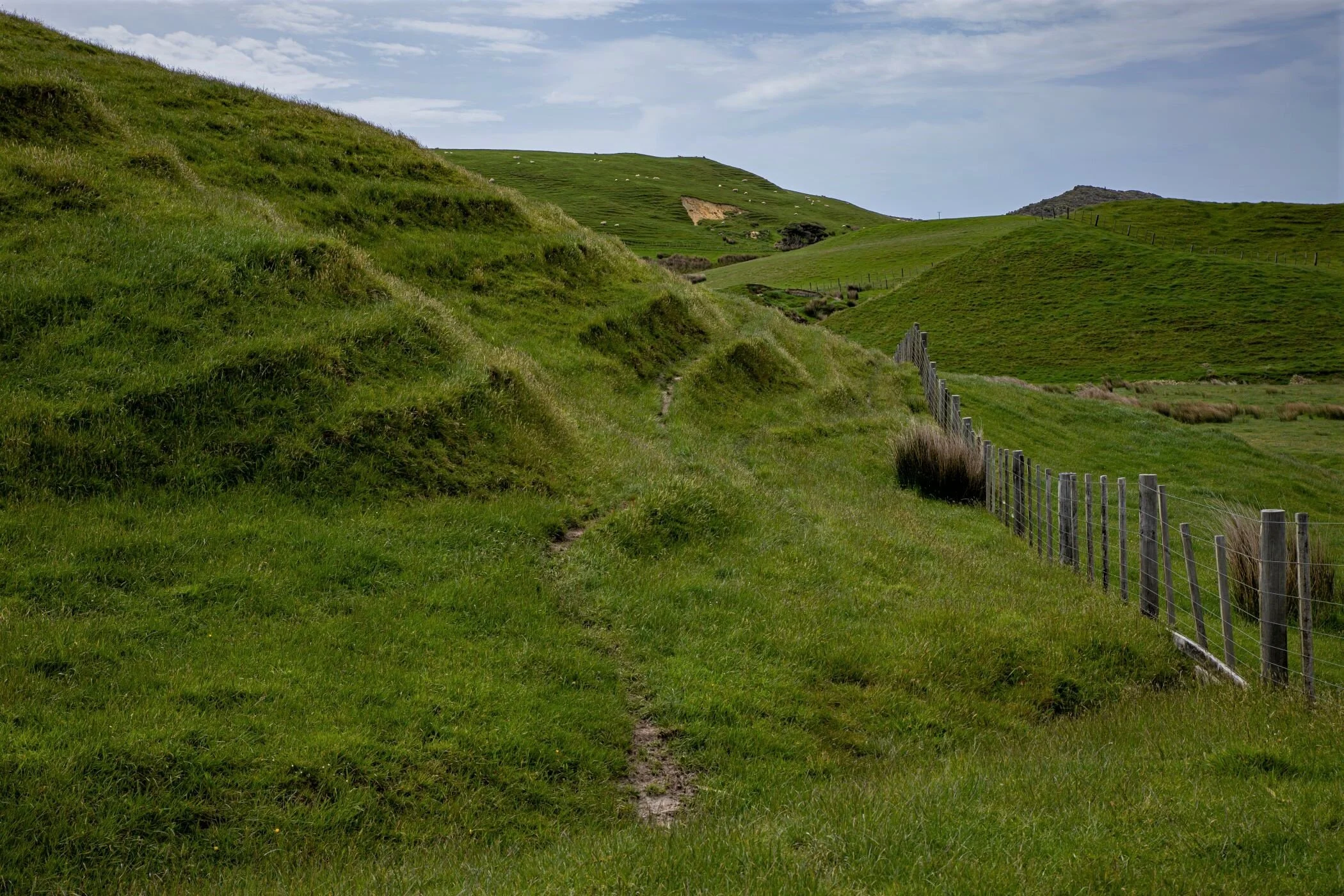 Golden Bay Journey,Cape Farewell,-3983 (2).jpg