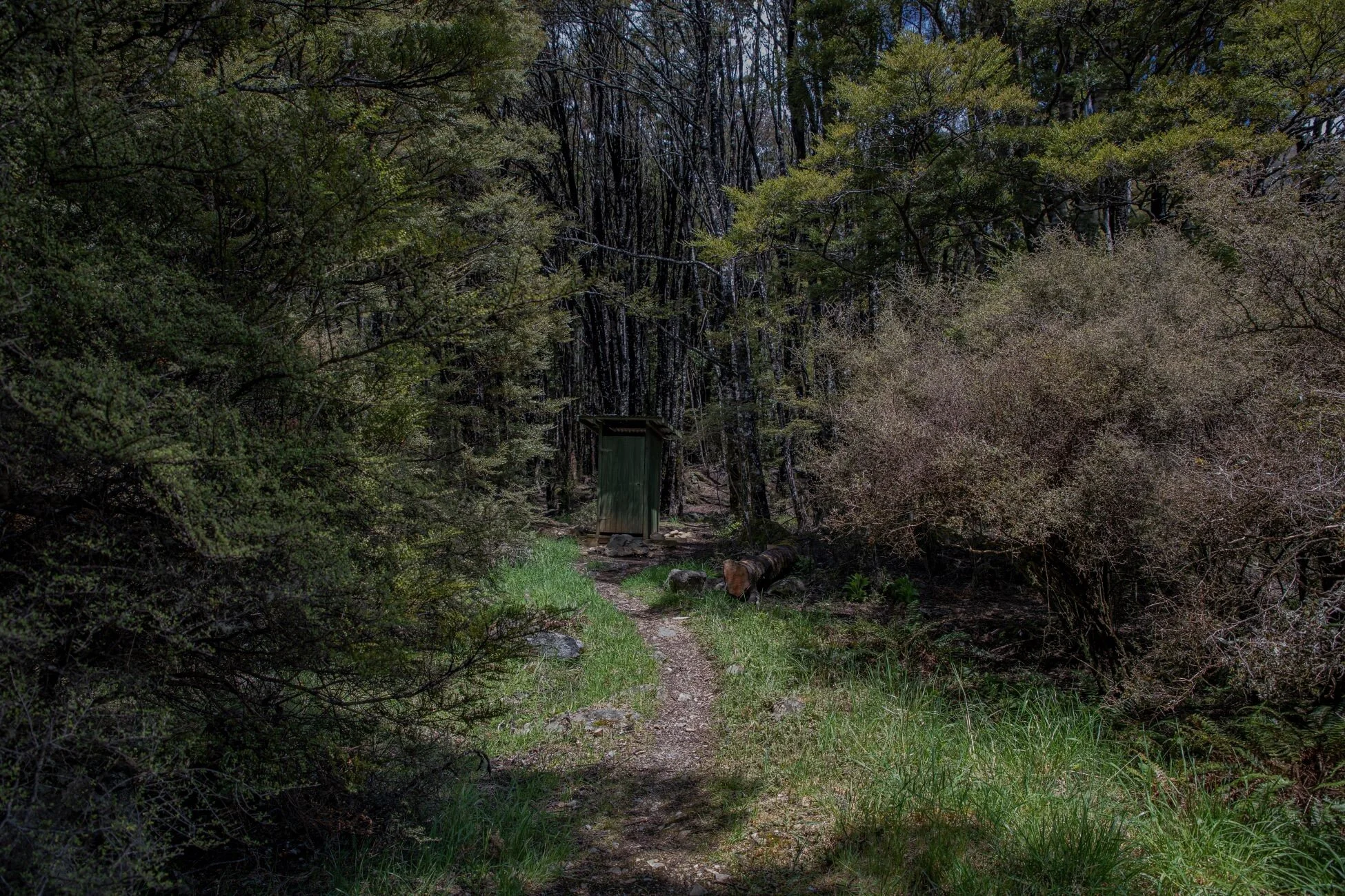 Golden Bay Journey,Cobb Valley Head & Trail,-3507 (2).jpg