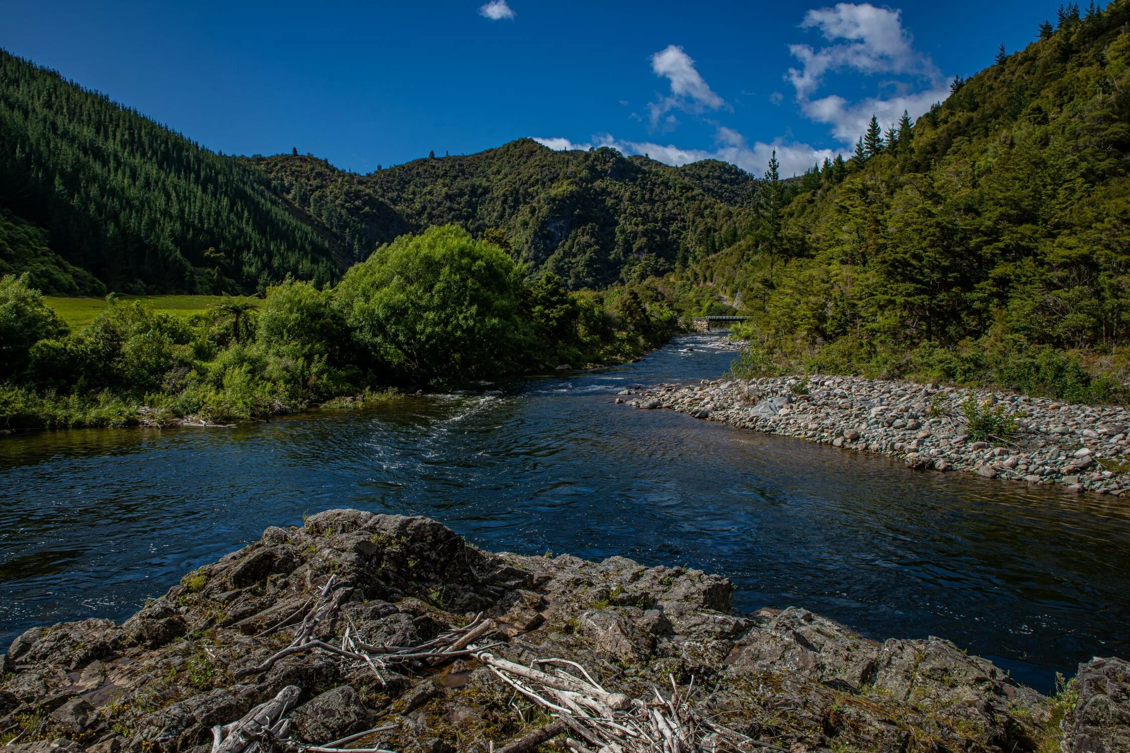 Golden Bay Journey,Cobb Valley,-3394.jpg