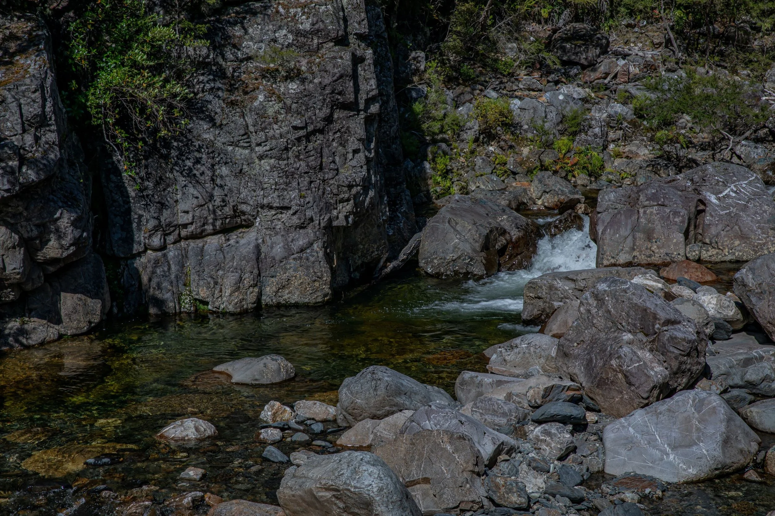 Golden Bay Journey,Cobb Valley,-3402.jpg