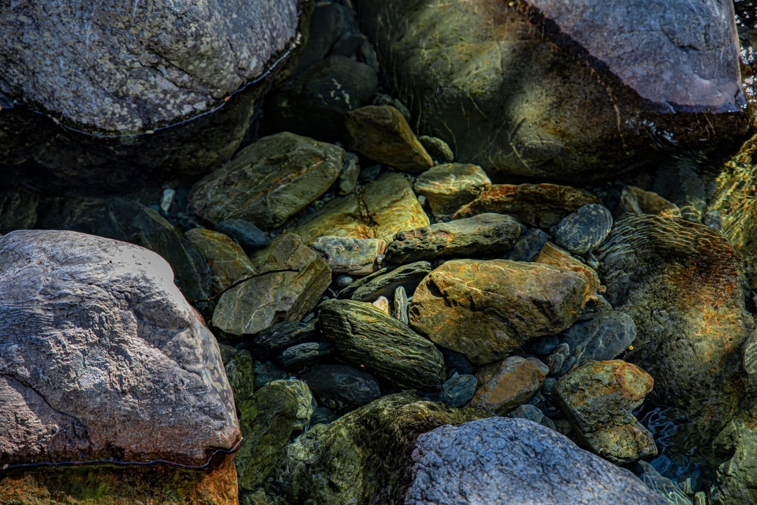 Golden Bay Journey,Cobb Valley,-3421 (2).jpg